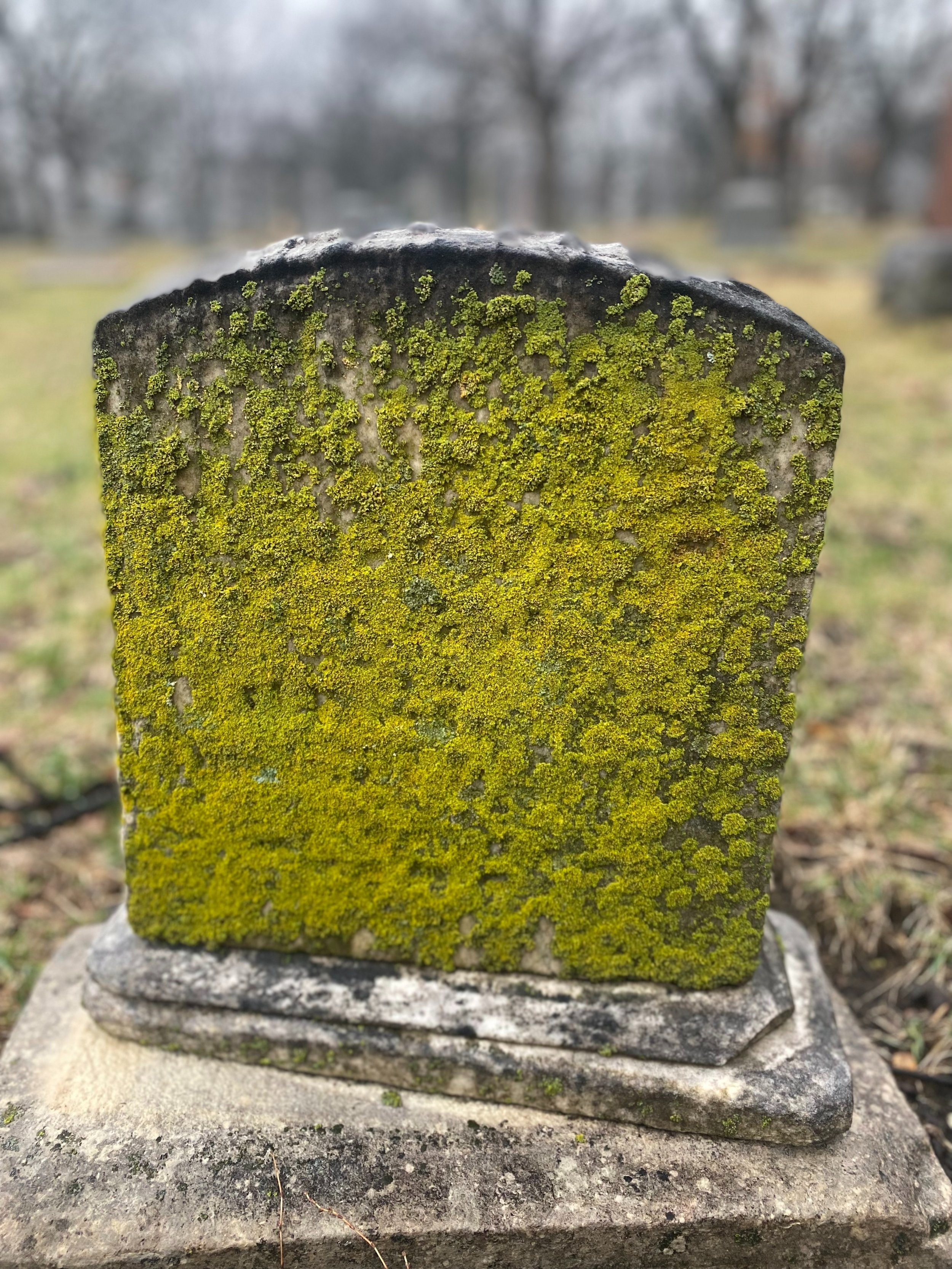 Moss &amp; Things Growing on a Marker
