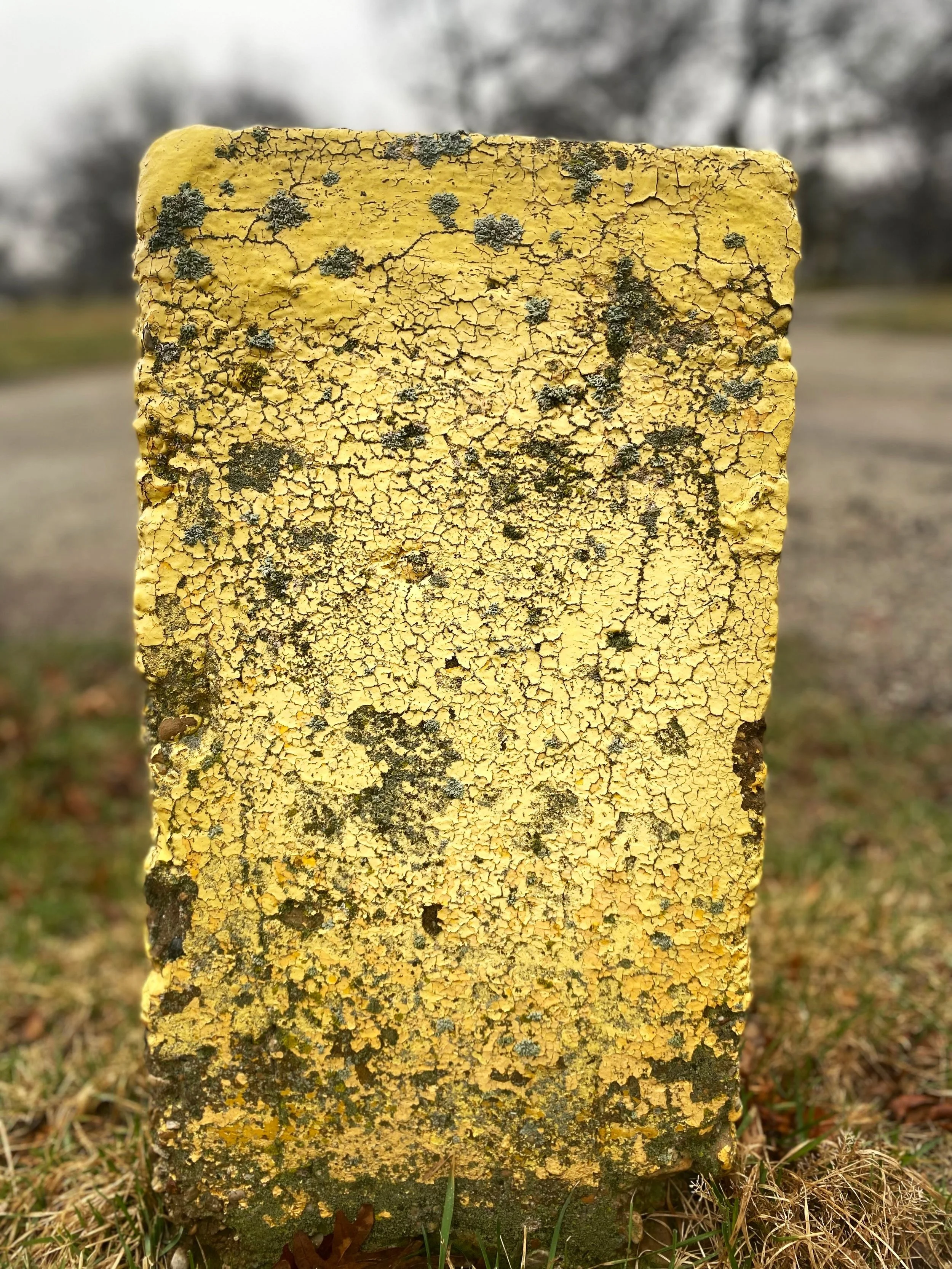I adore the textures on this worn paint