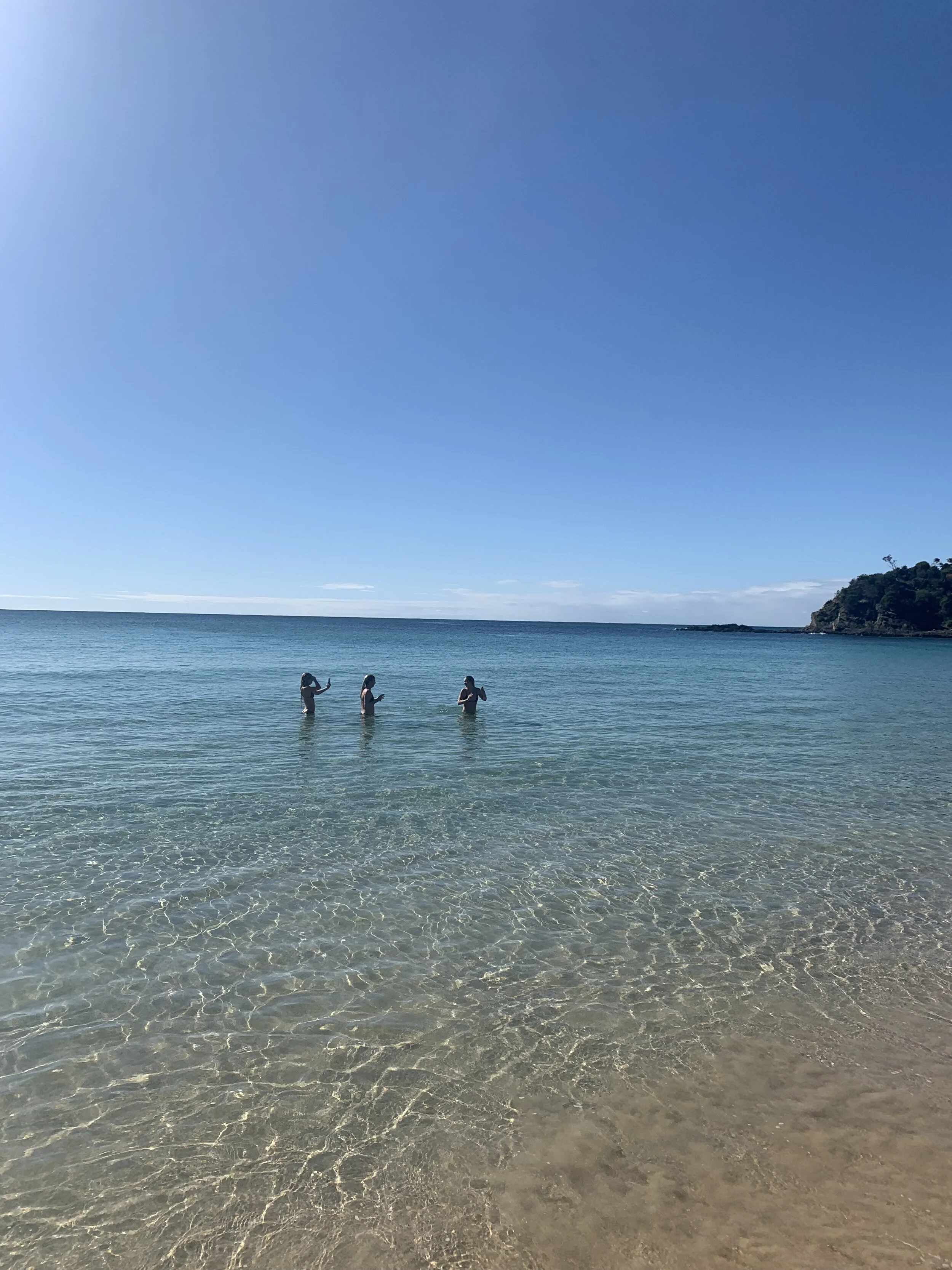 IMG_6768.jpeg