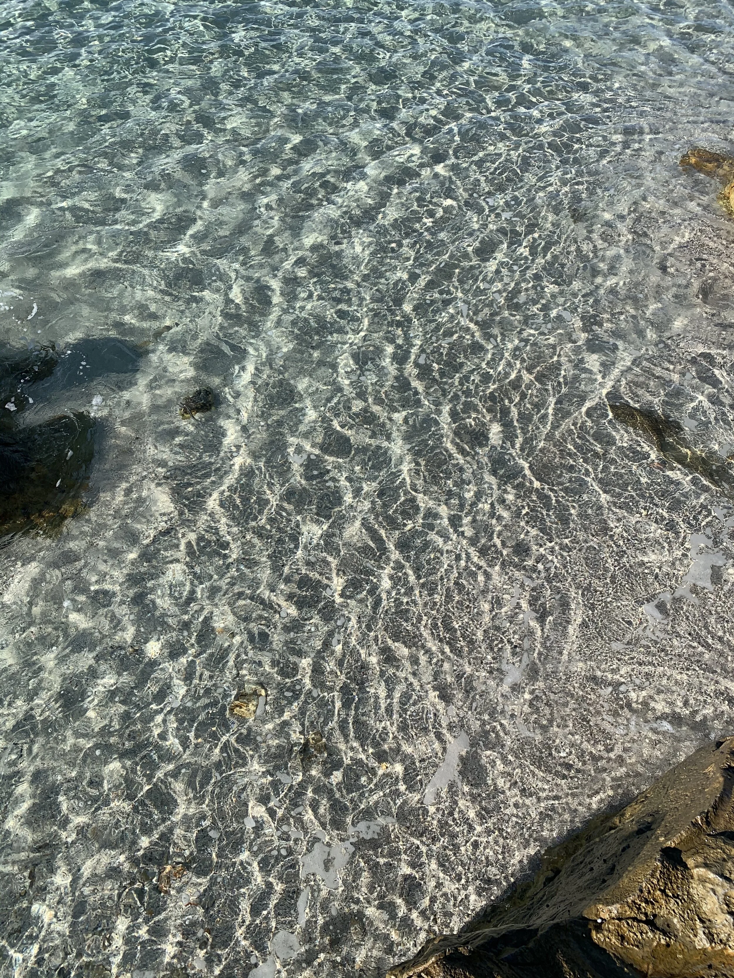 IMG_6876.jpeg