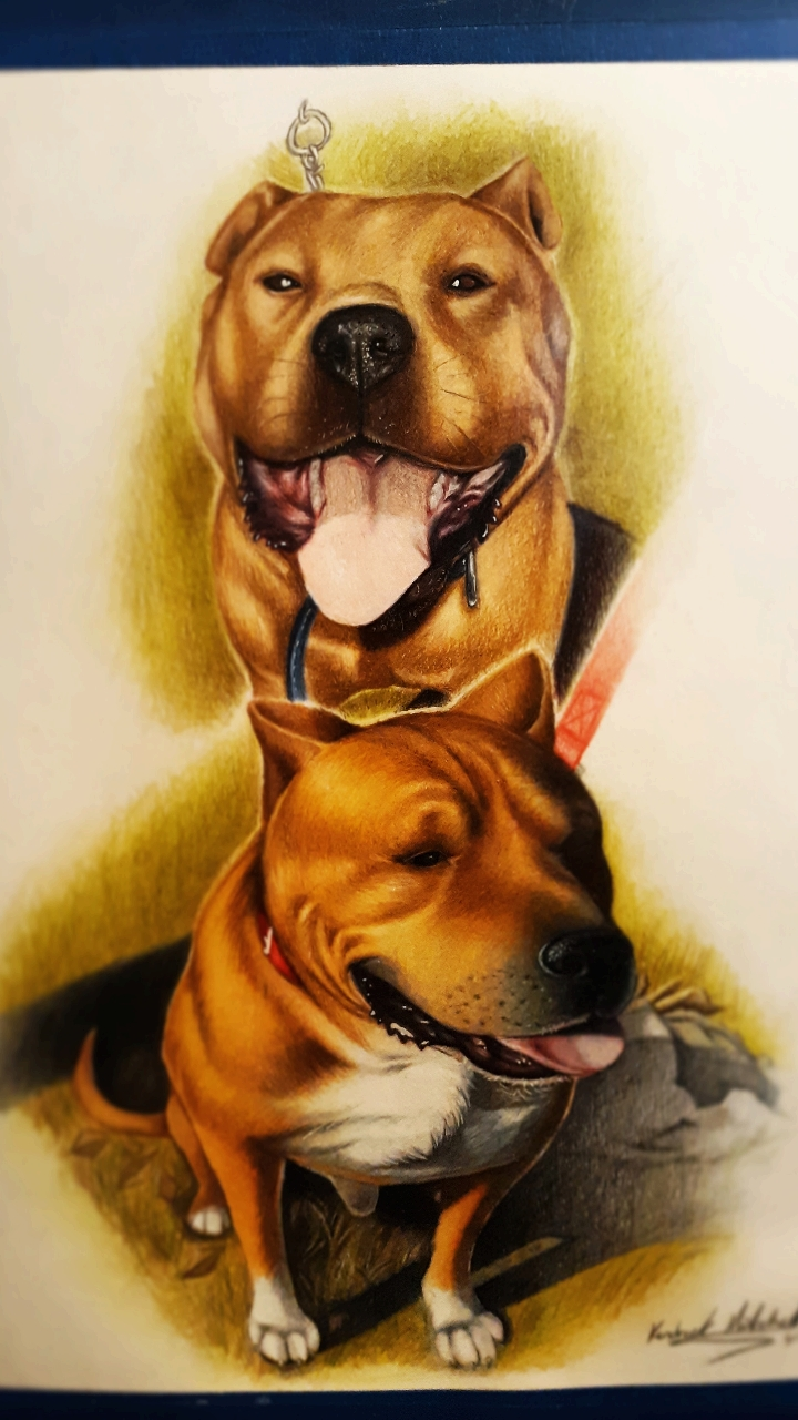 behance_download_1562683695281.png