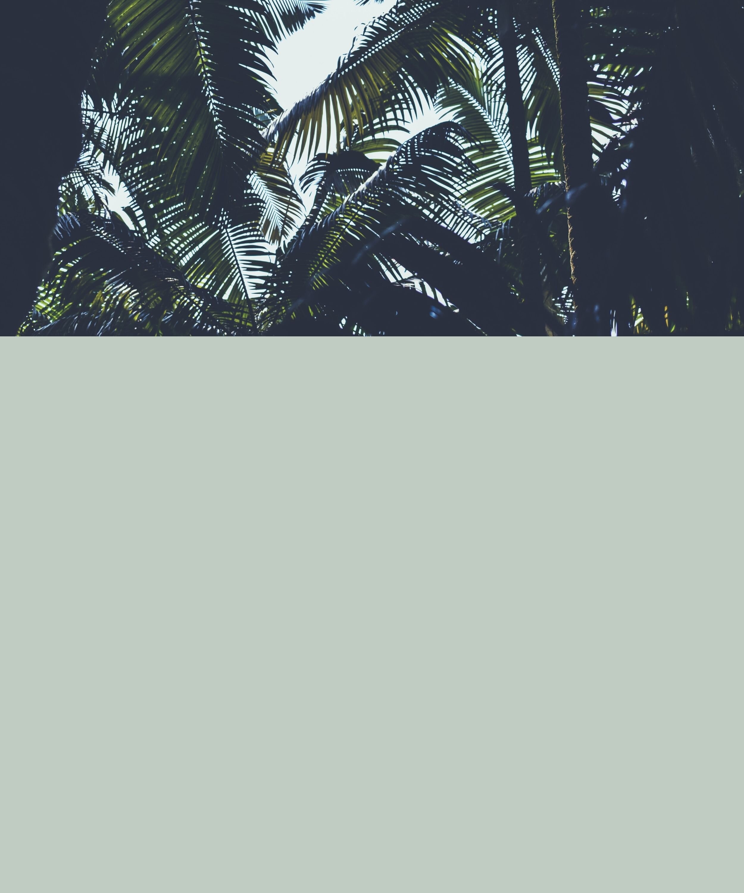 Copy of Sophia_Background.jpg