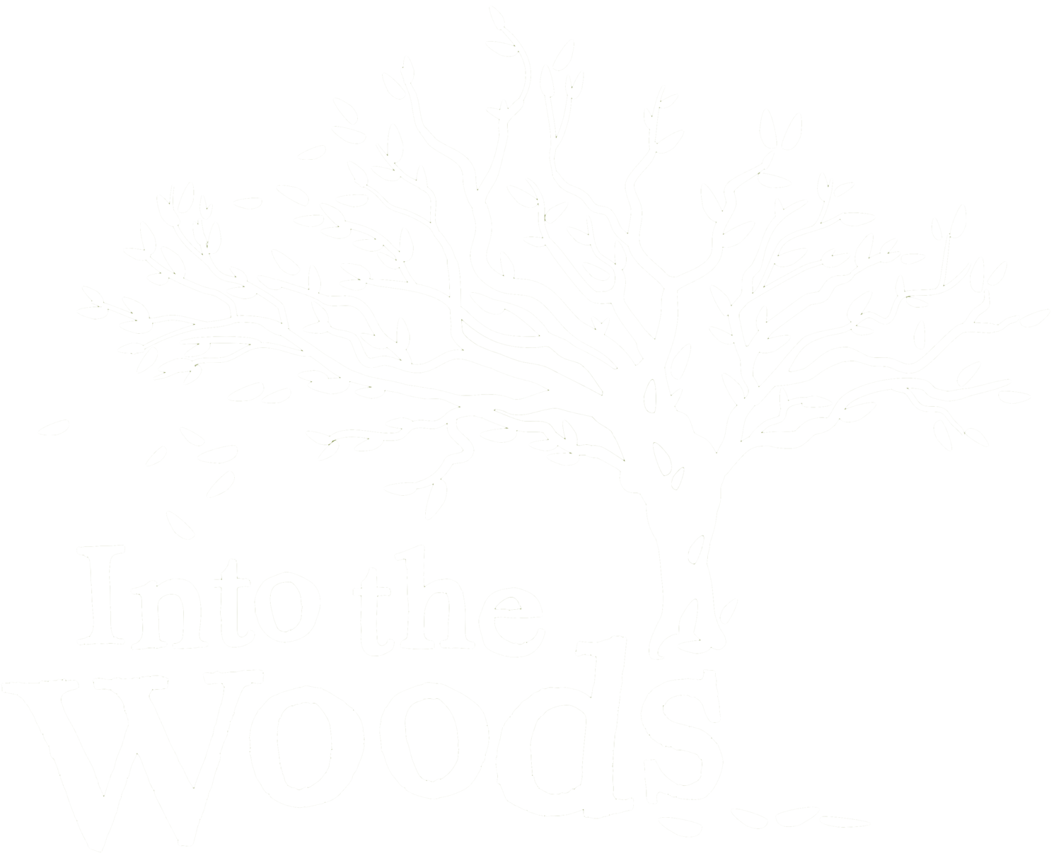 Into The Woods - Cumbria glamping