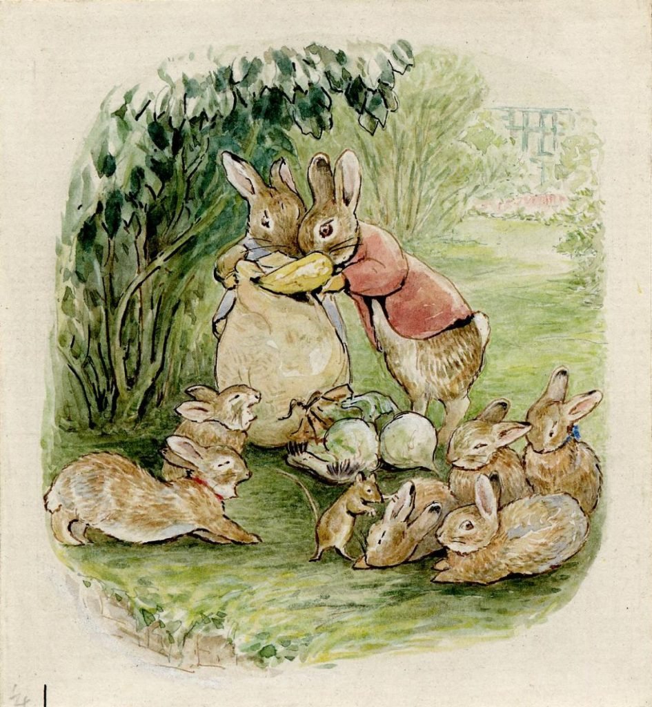 The Legacy of Beatrix Potter: artist, naturalist and conservationist — The  Bristorian