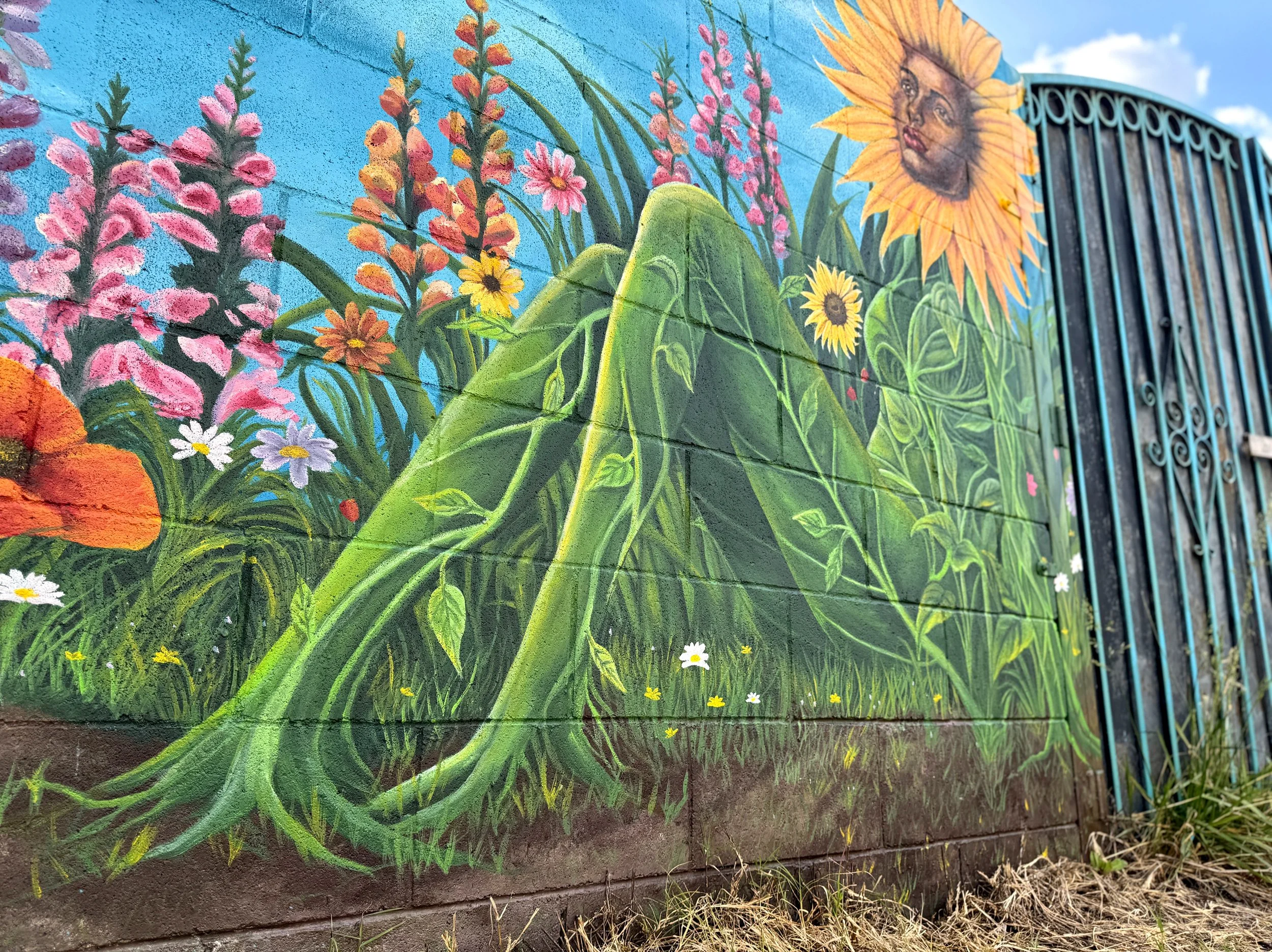 photo-output_3 2.JPEG