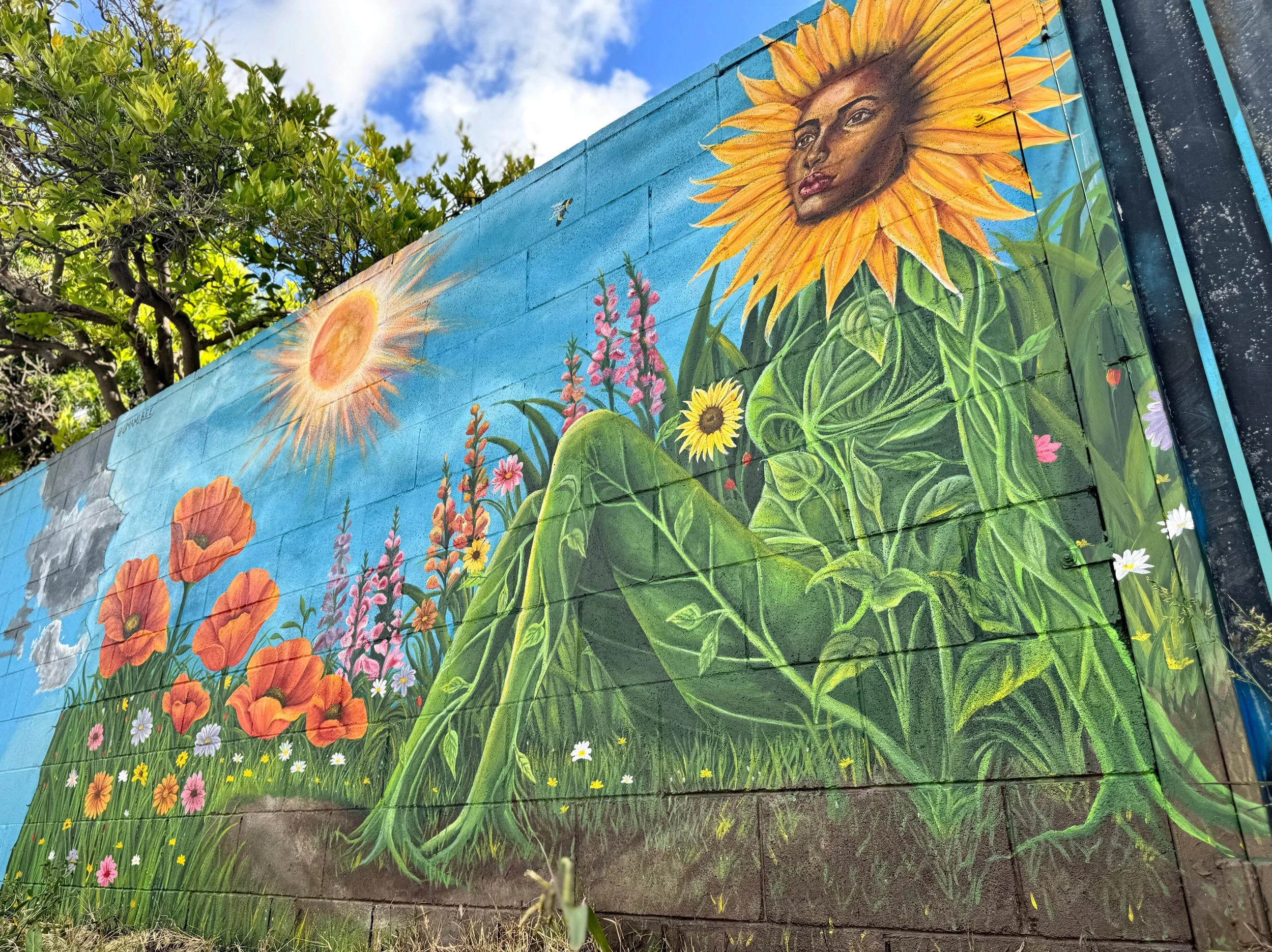 photo-output_8 2.JPEG