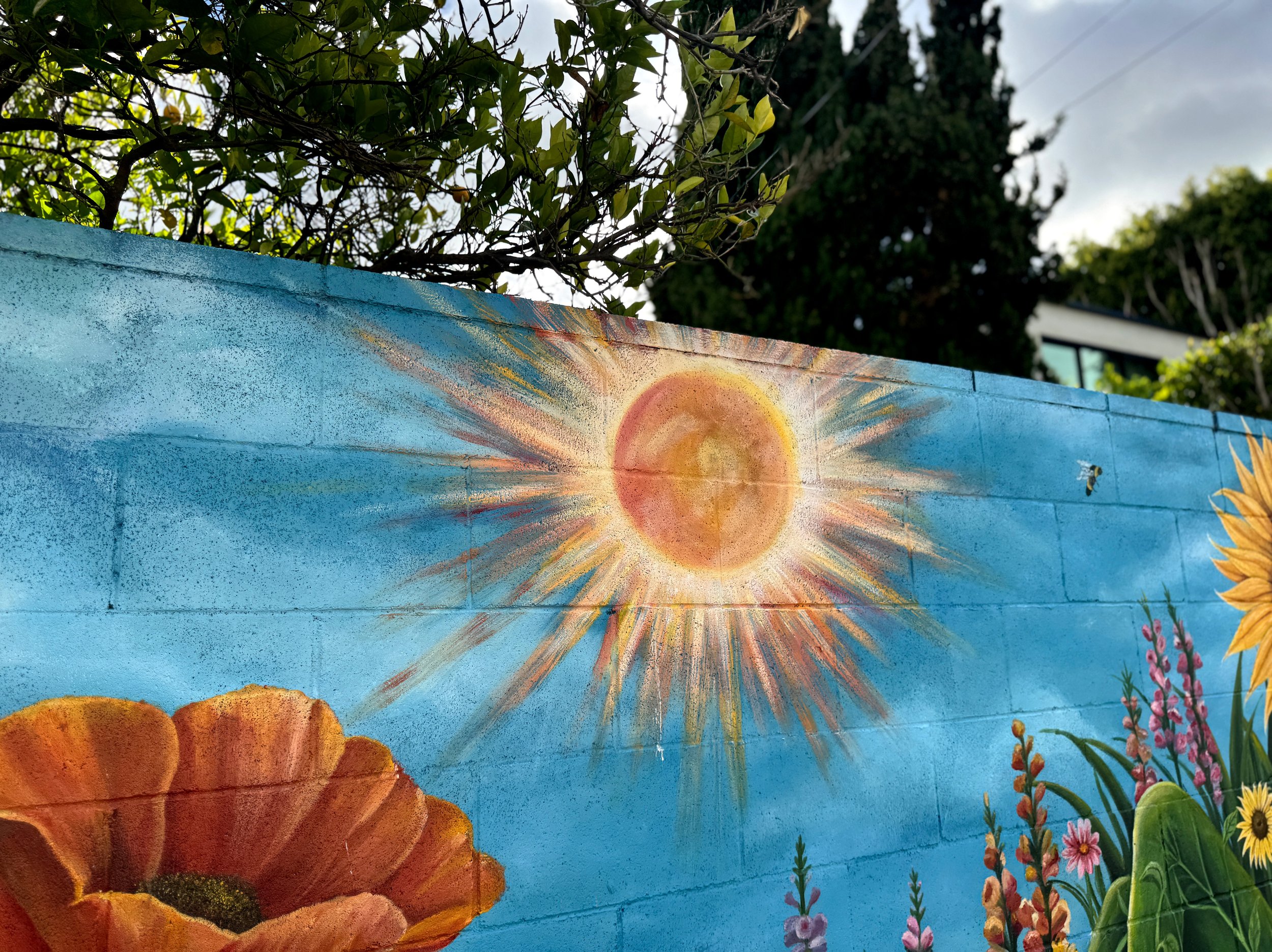 photo-output_2 2.JPEG