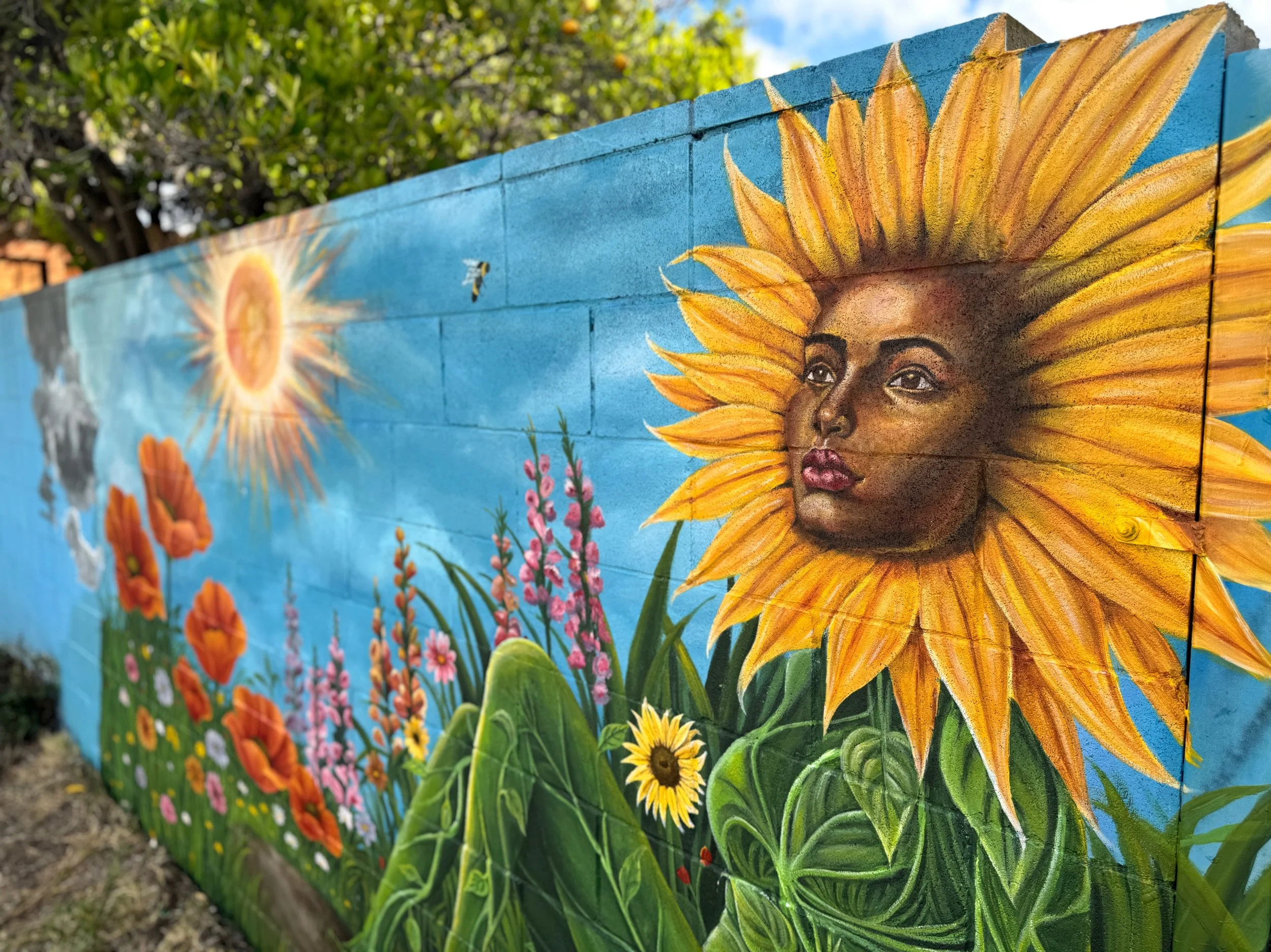 photo-output_5 2.JPEG