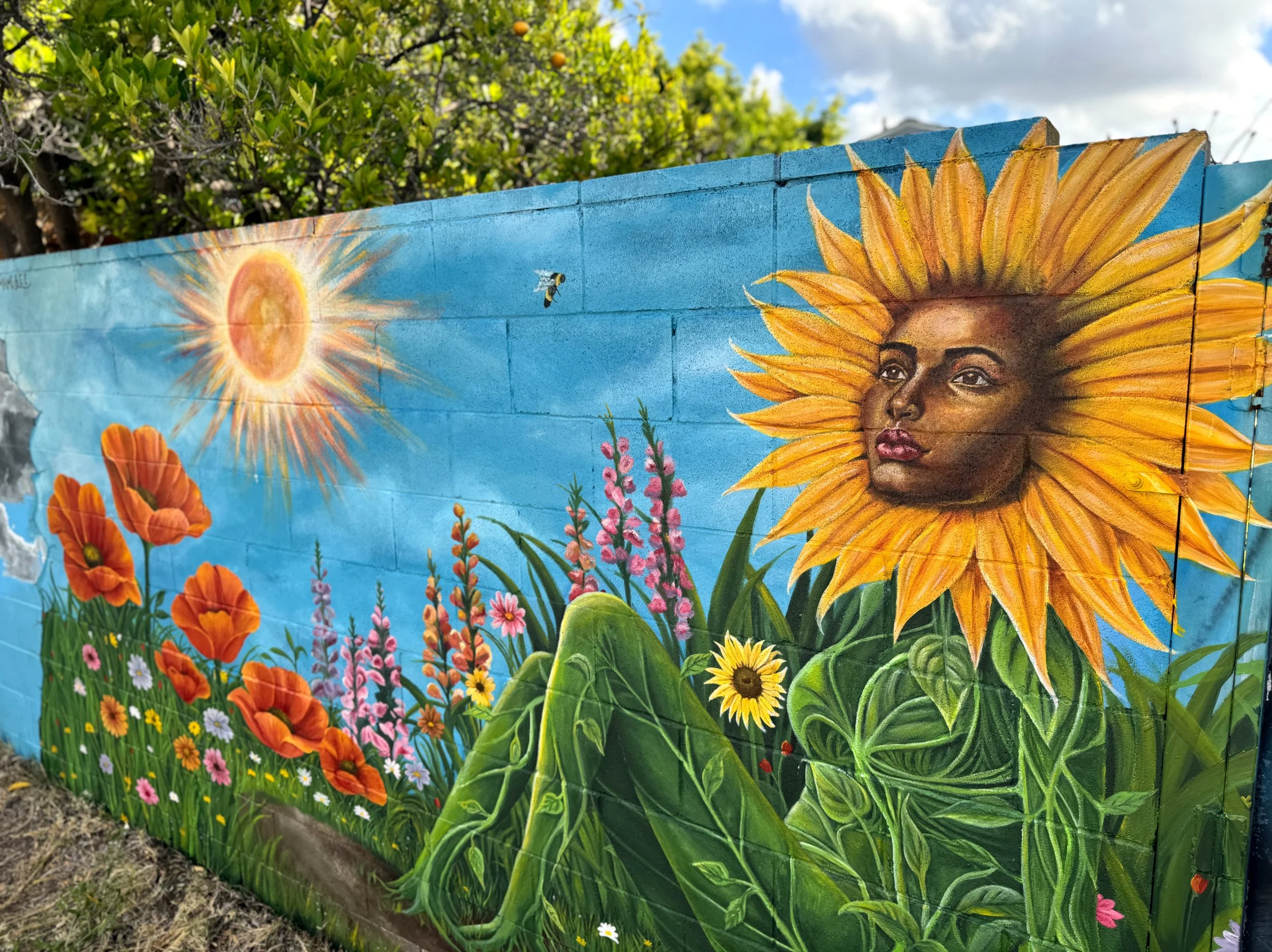 photo-output_6 2.JPEG