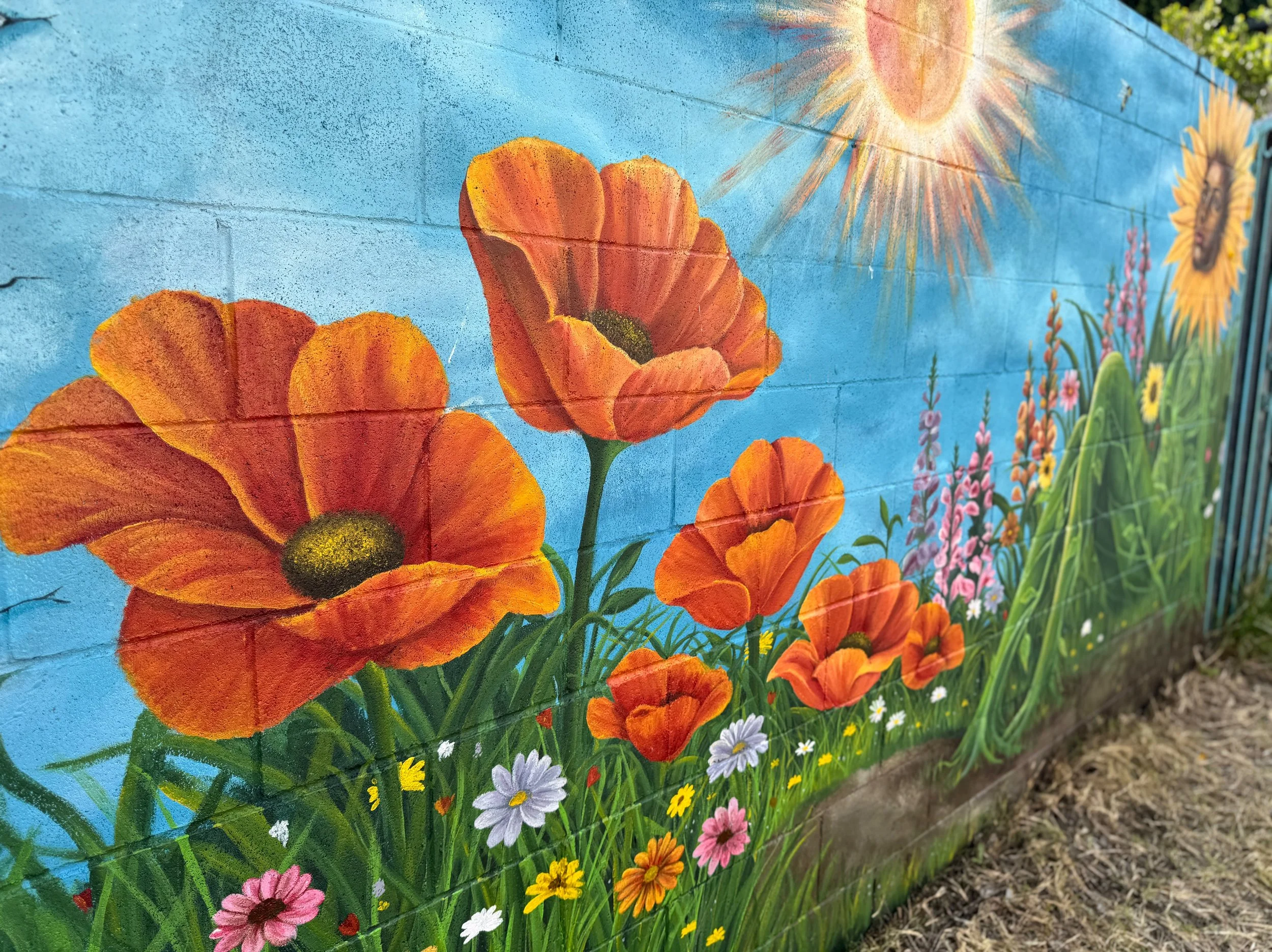 photo-output_1 2.JPEG