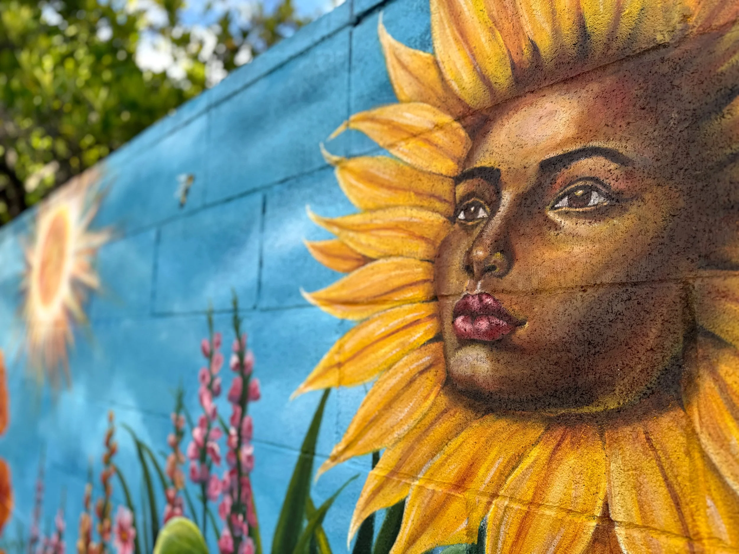 photo-output_7 2.JPEG