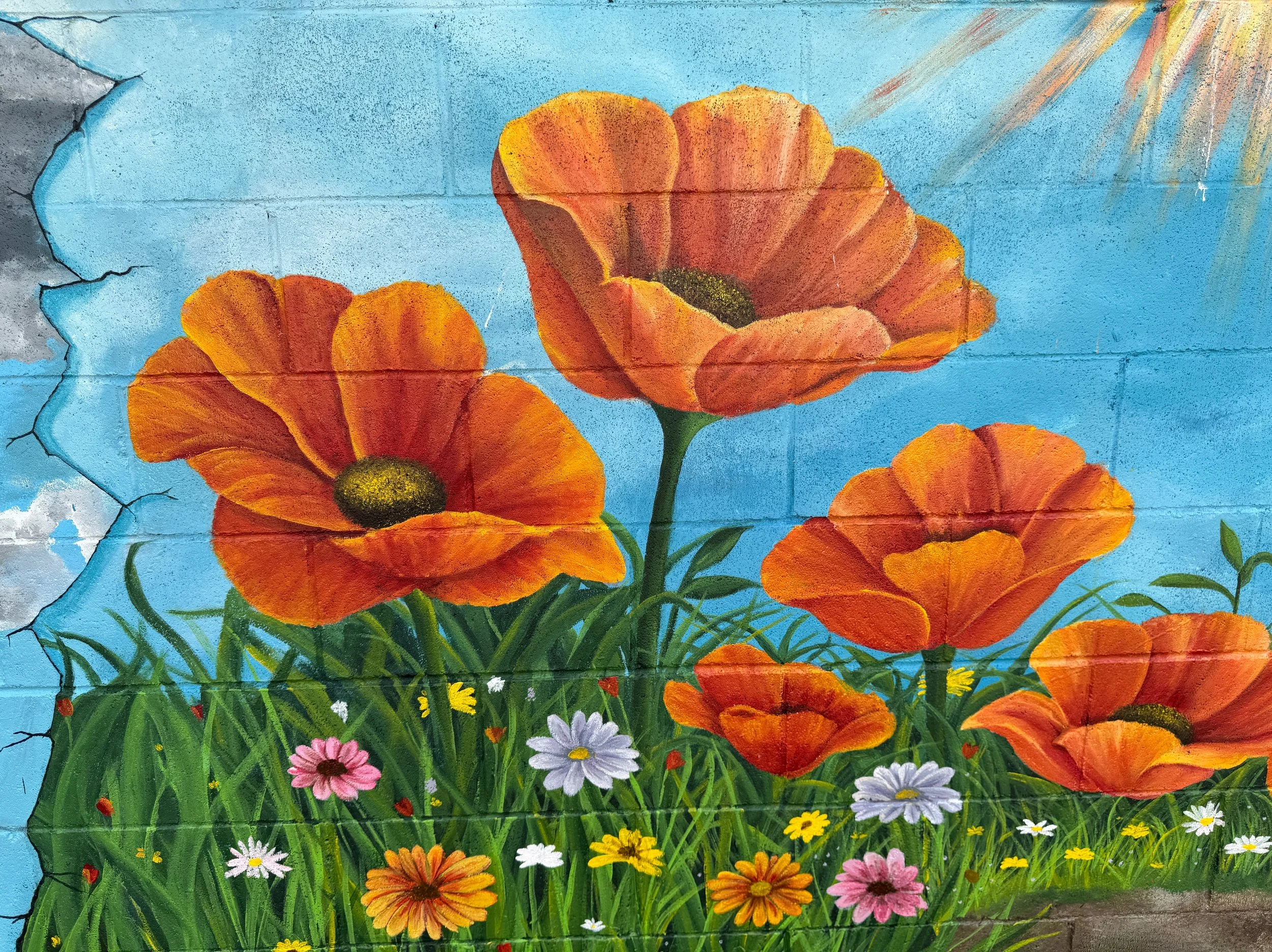 photo-output_0 2.JPEG