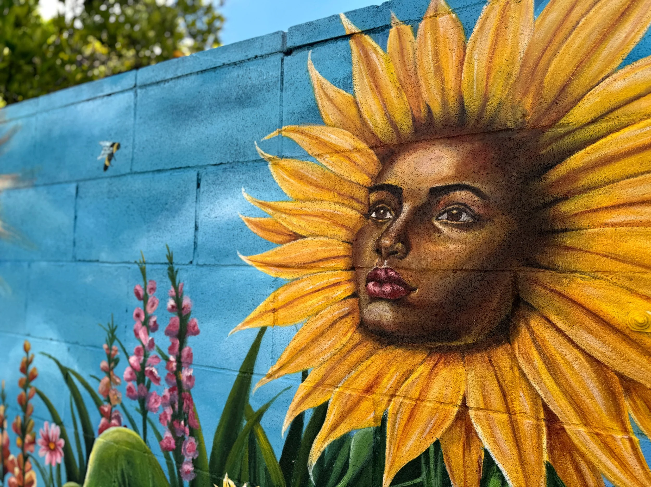 photo-output_9 2.JPEG