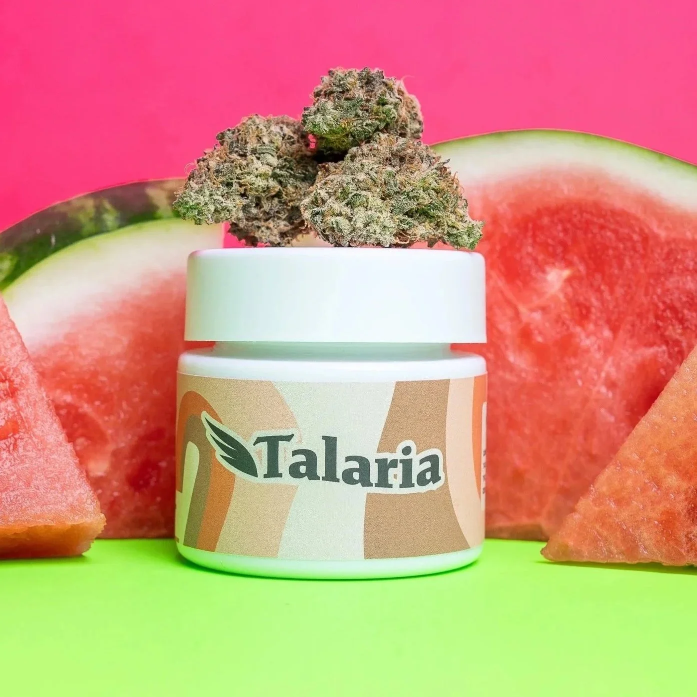 Watermelon Gusherz