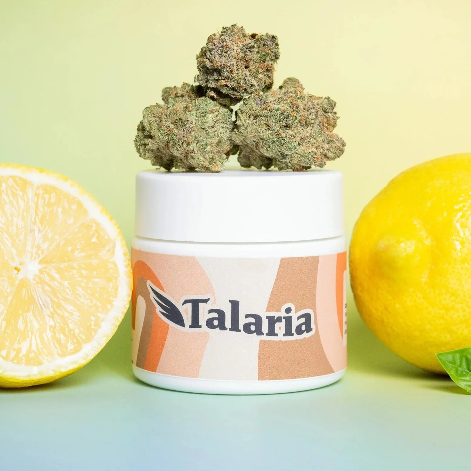 Gelonade