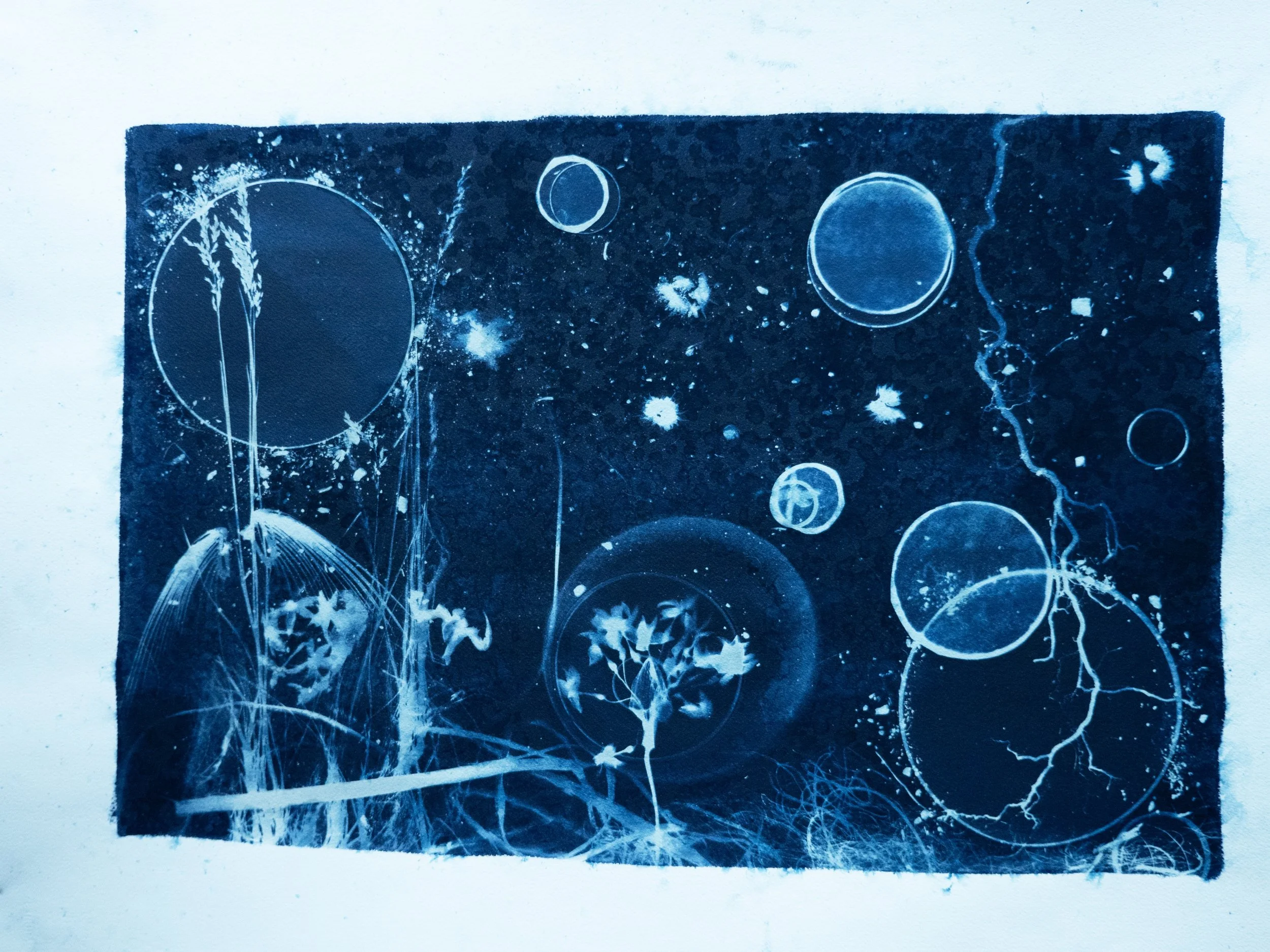cyano5.jpg (Copy)