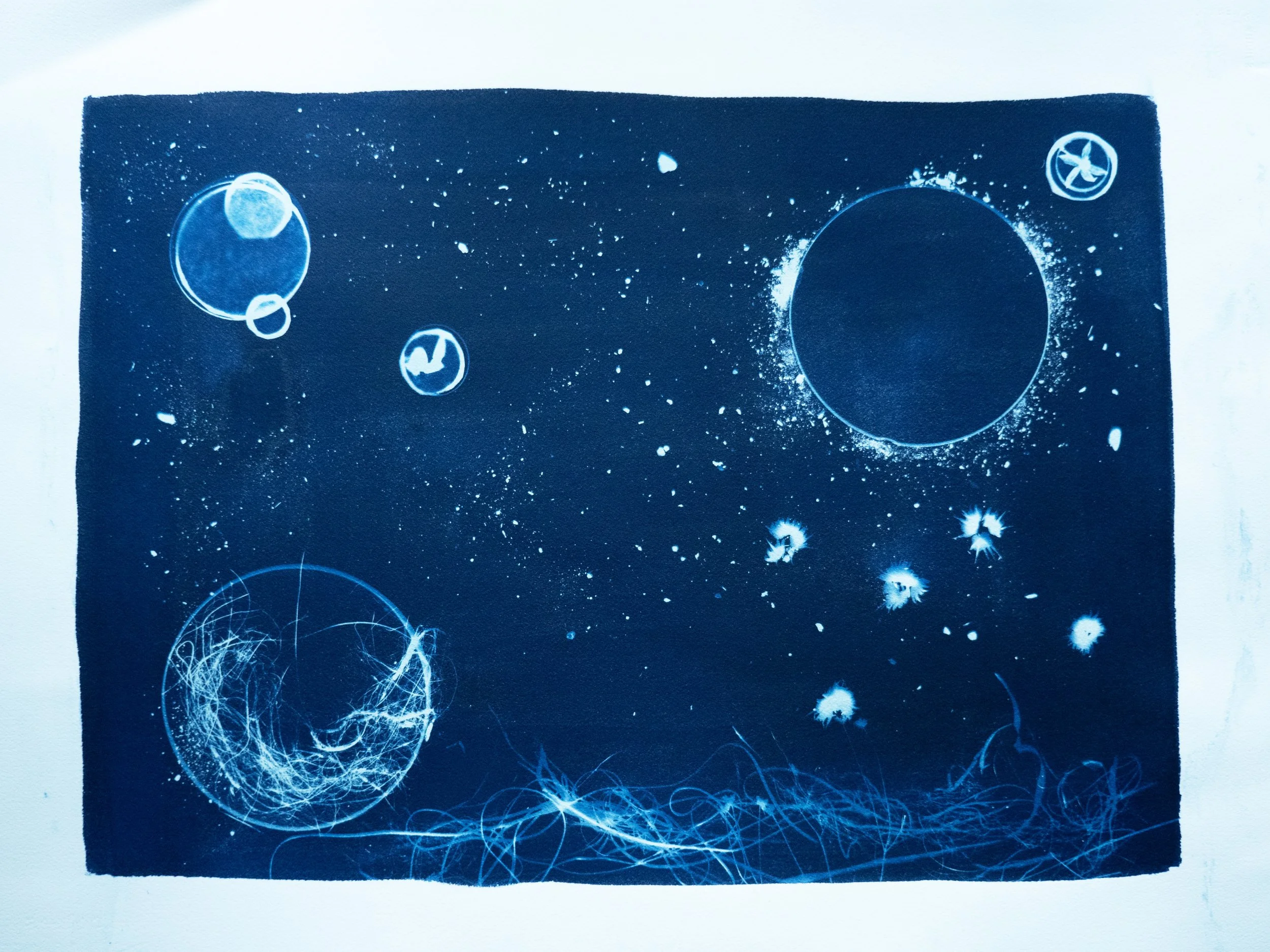 cyano2.jpg (Copy)