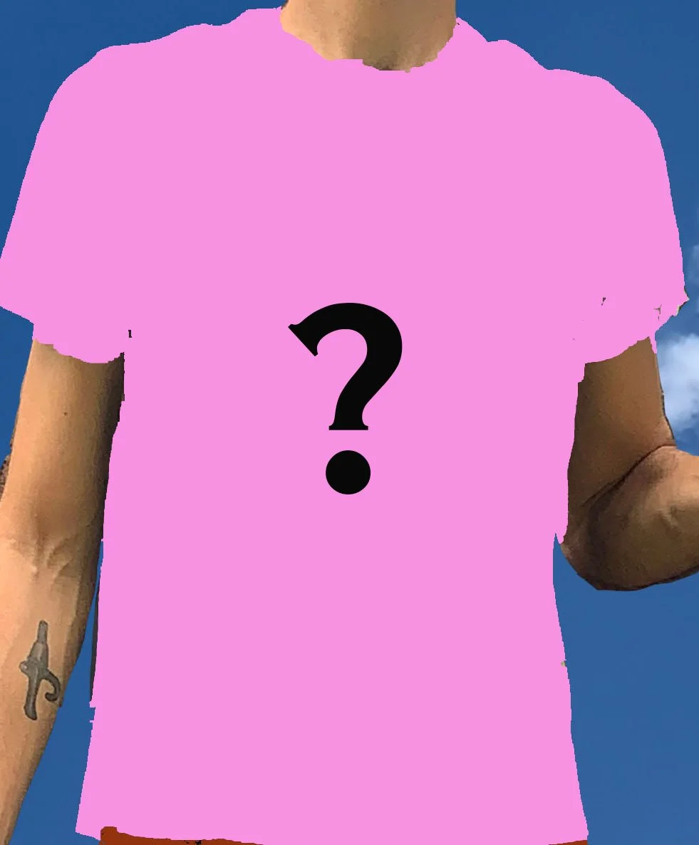 tshirtsurprise.jpg