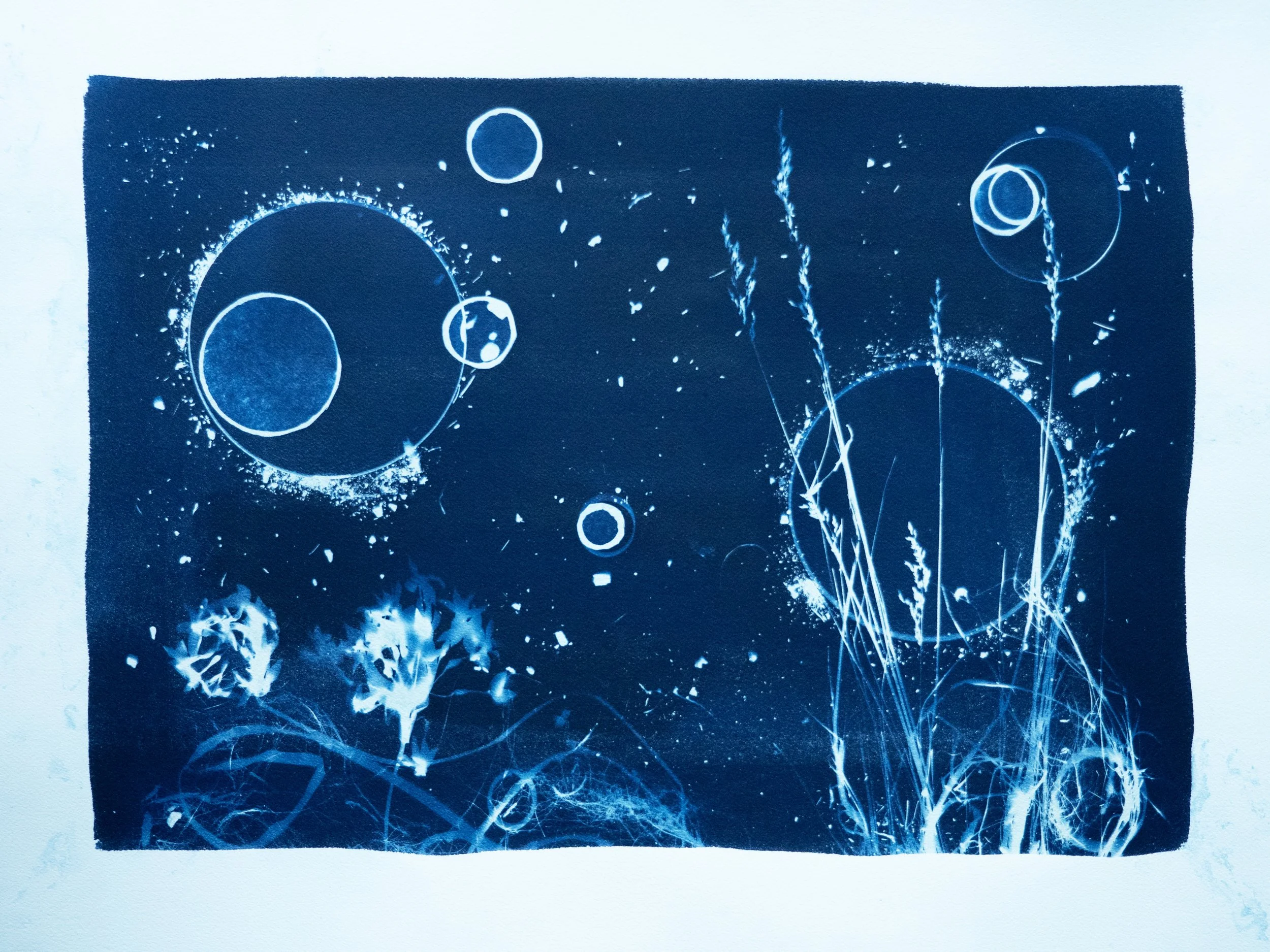 cyano4.jpg (Copy)