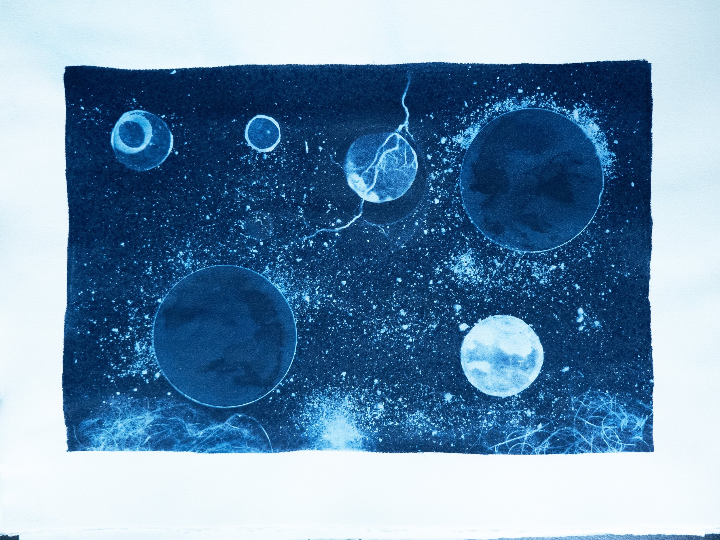 cyano8.jpg (Copy)