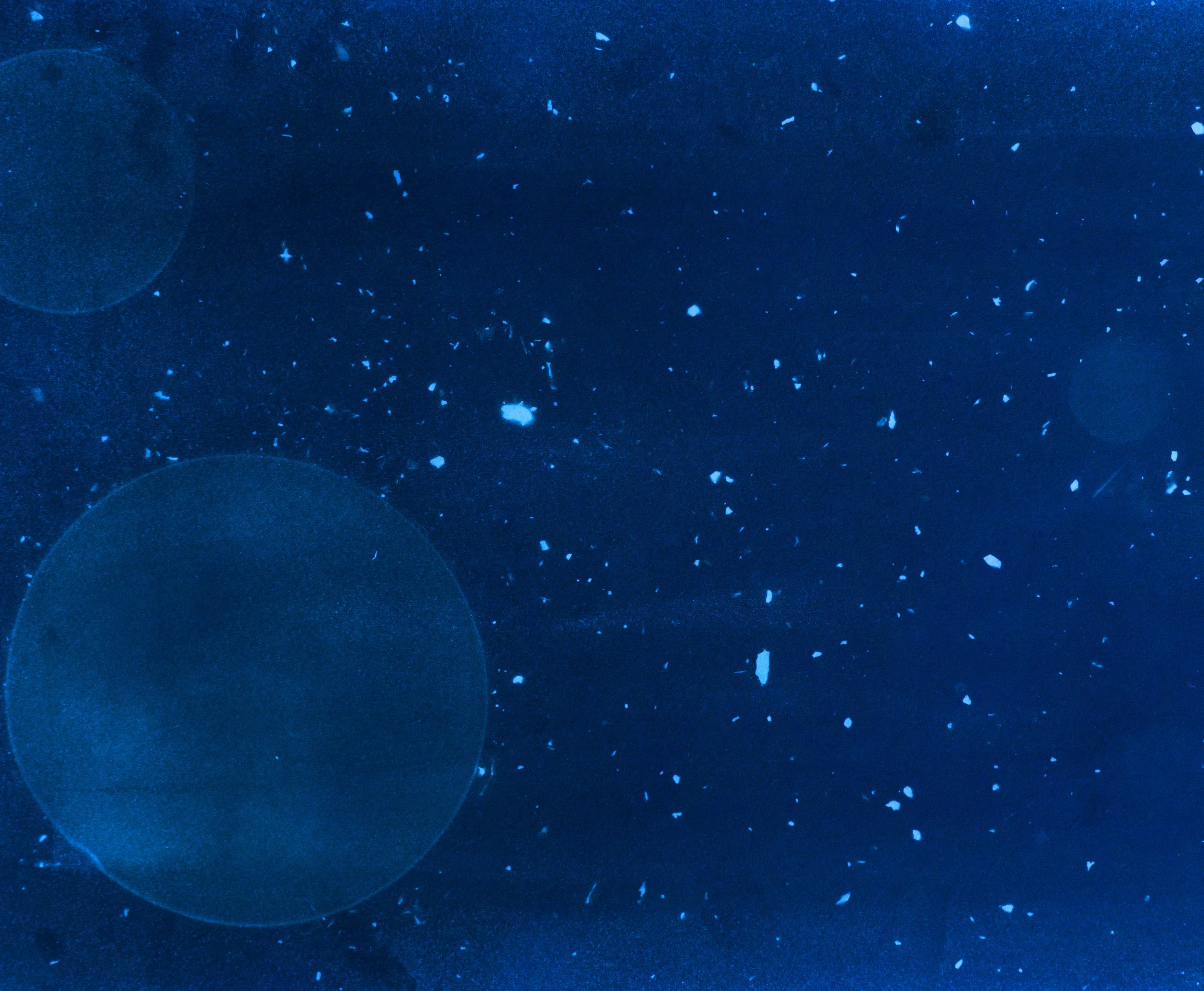 cyanbackgr.jpg