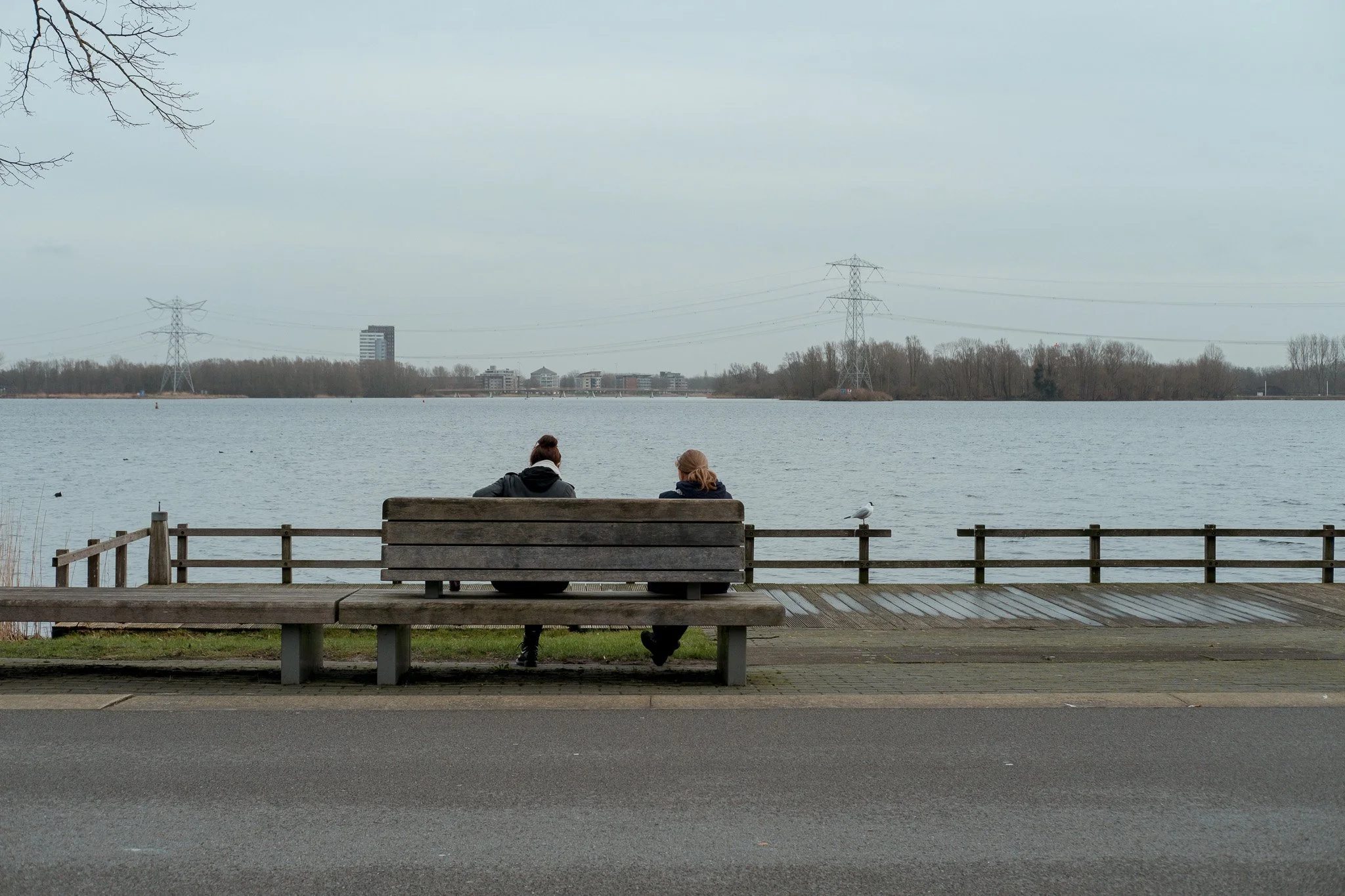 DSCF5432.jpg