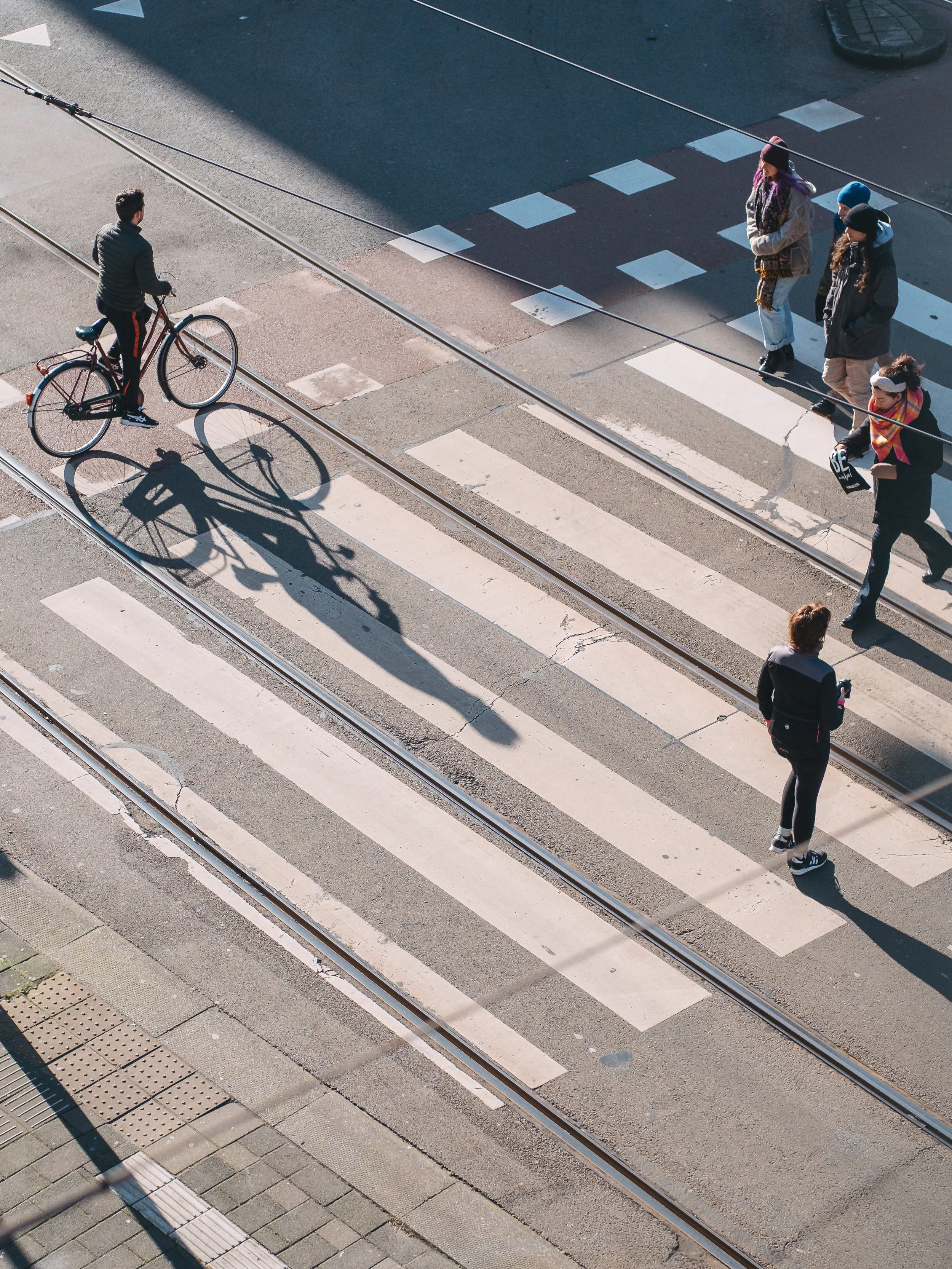 Amsterdam - Crossing Zebra