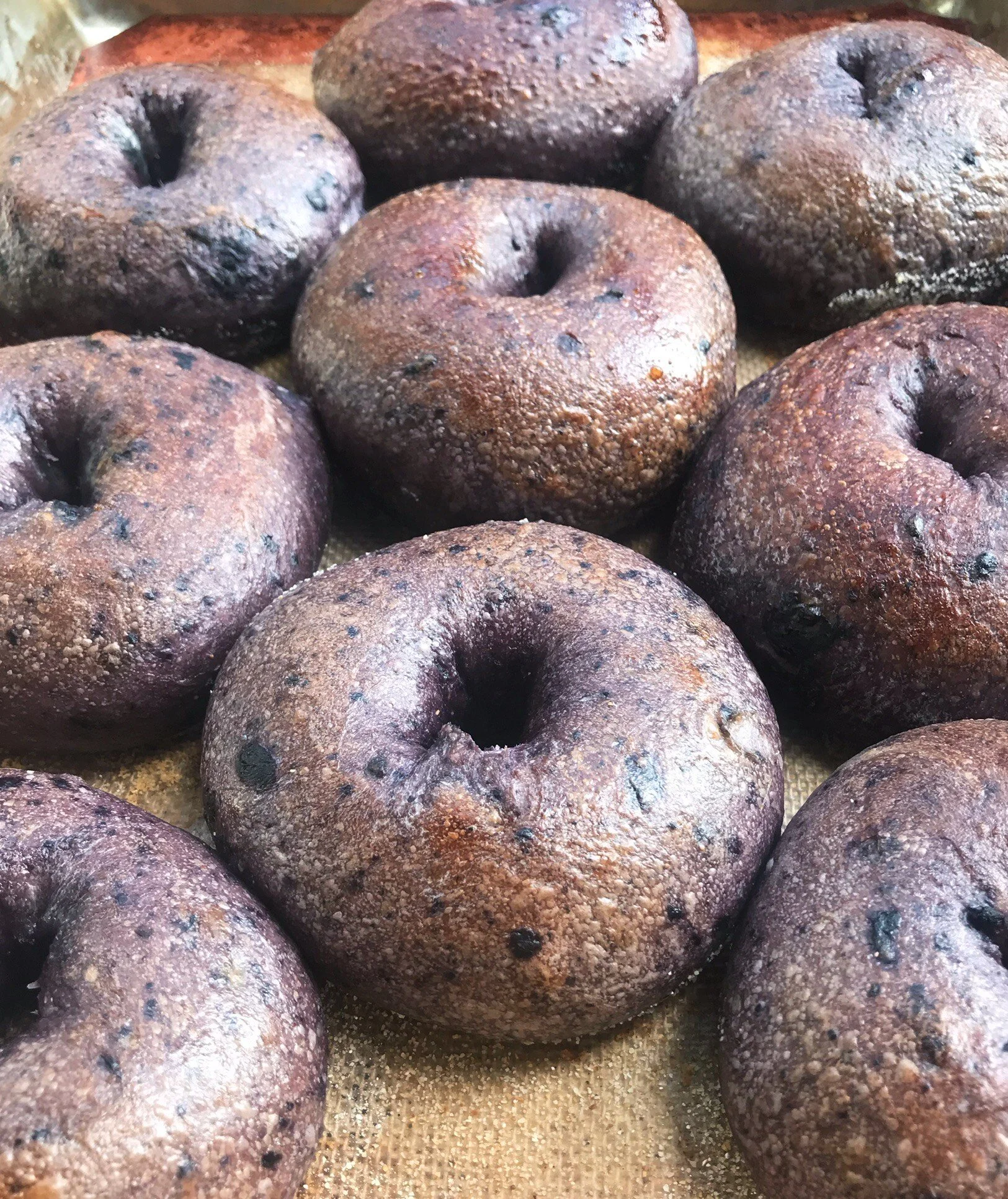 Gallery — TILLY BAGEL SHOP