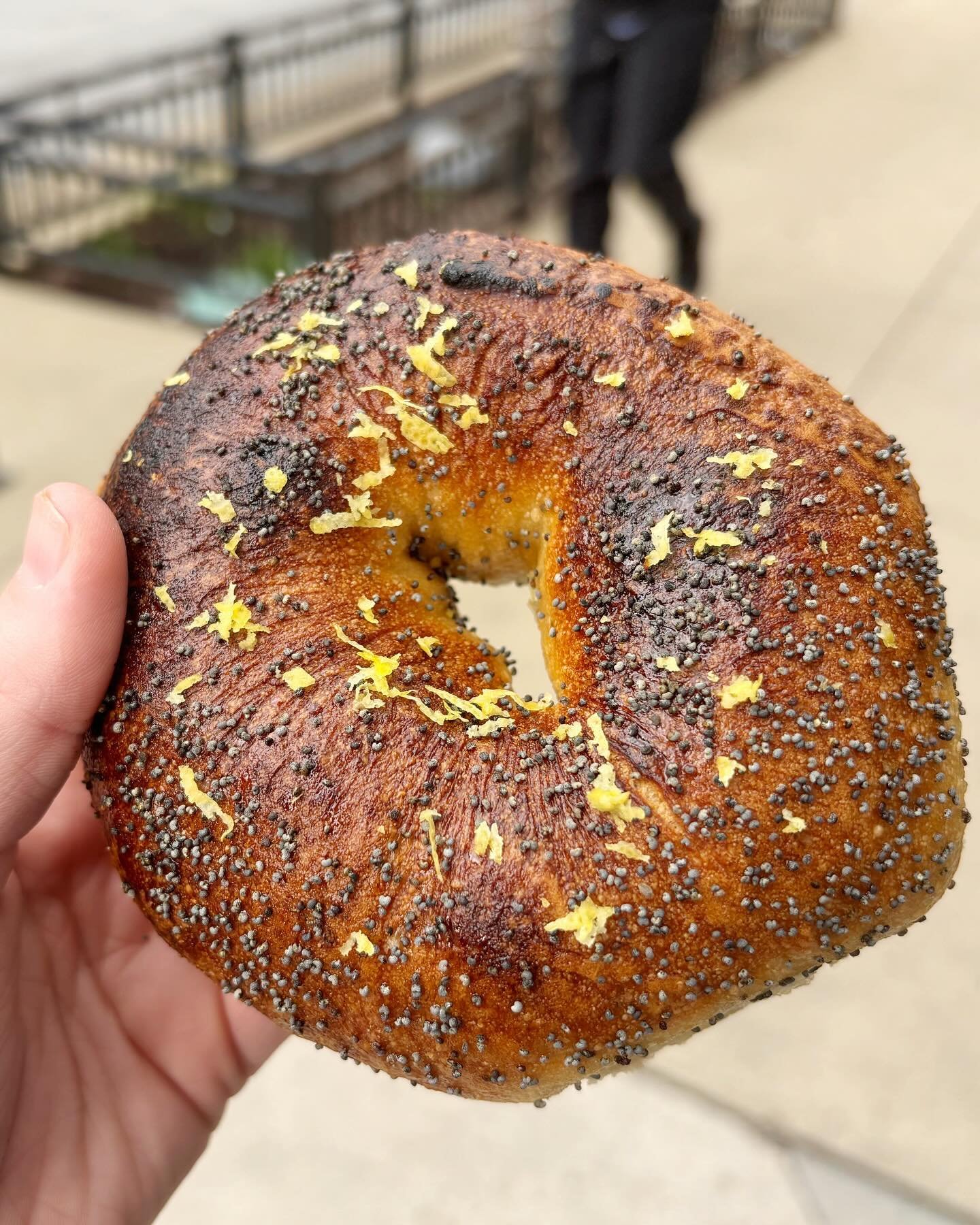 BOTW! Lemon Poppy Seed! 🍋🥯 Lemon zest and poppy seeds in the dough, and topped with a candied poppy seed topping. Try it with our Blueberry Cream Cheese!