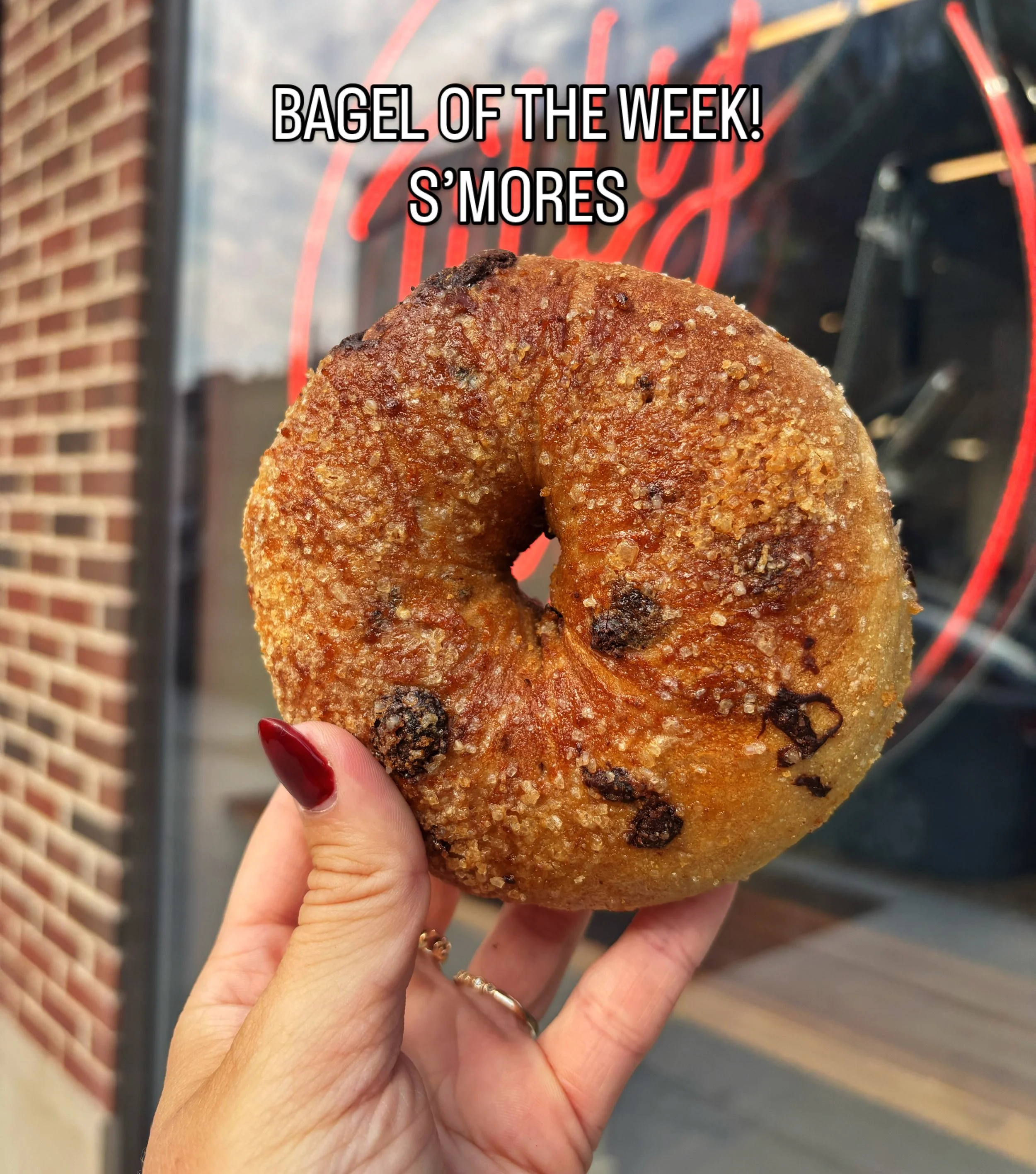 S&rsquo;mores! 🏕️🍫🥯 Chocolate &amp; marshmallow sourdough topped with candied graham crumbs! This week only!