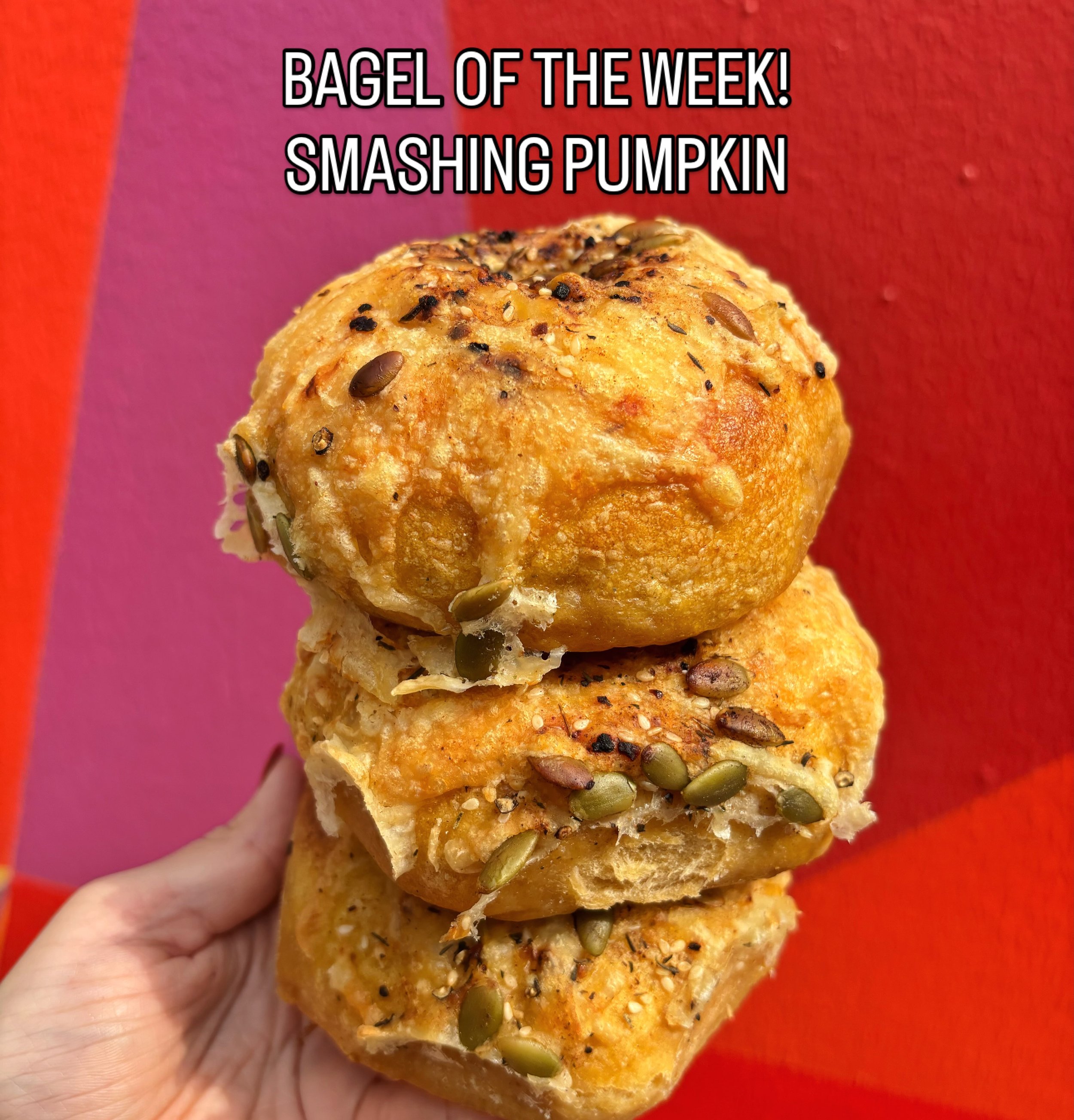 Happy Lolla Week! Fall flavors are coming a little early this week with our Smashing Pumpkin bagel! Pumpkin sourdough topped with swiss cheese and a pumpkin seed crumble 🎃