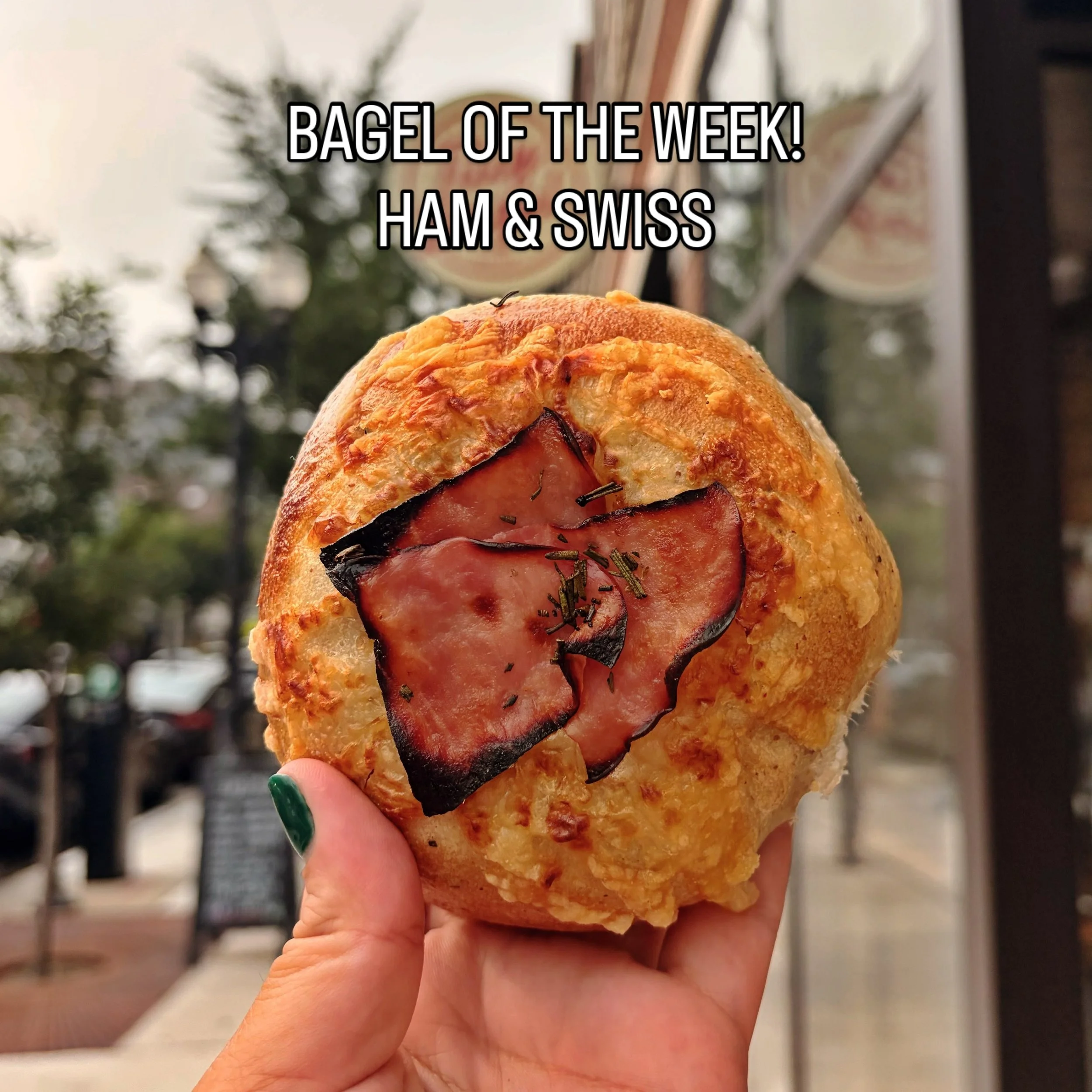 Ham &amp; Swiss! Rosemary sourdough topped with Swiss cheese and smoked honey ham! 🍖🧀🥯 This week only!