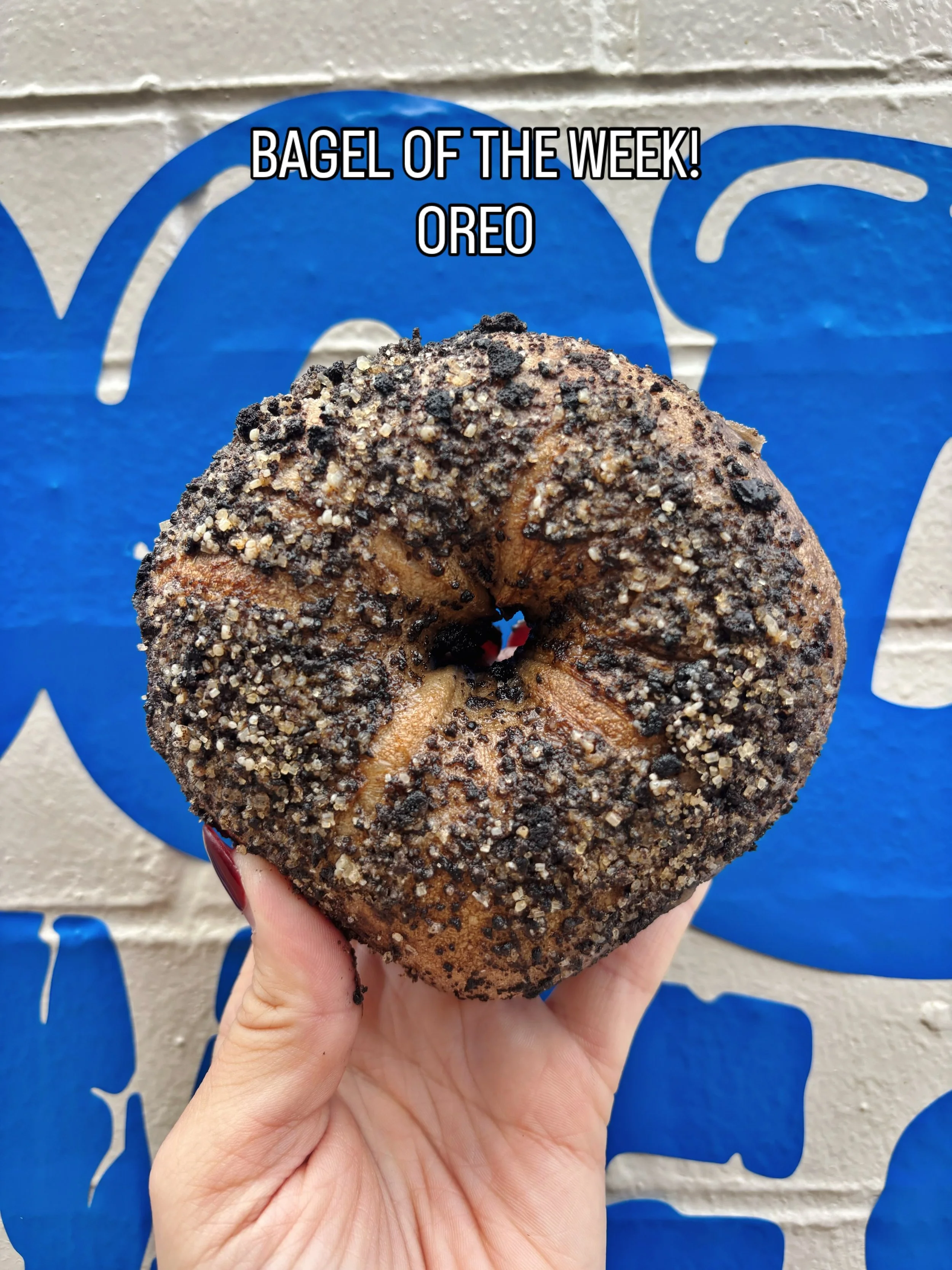 BOTW! Oreo! Cookies &amp; cream sourdough topped with caramelized oreo crumble! This week only!