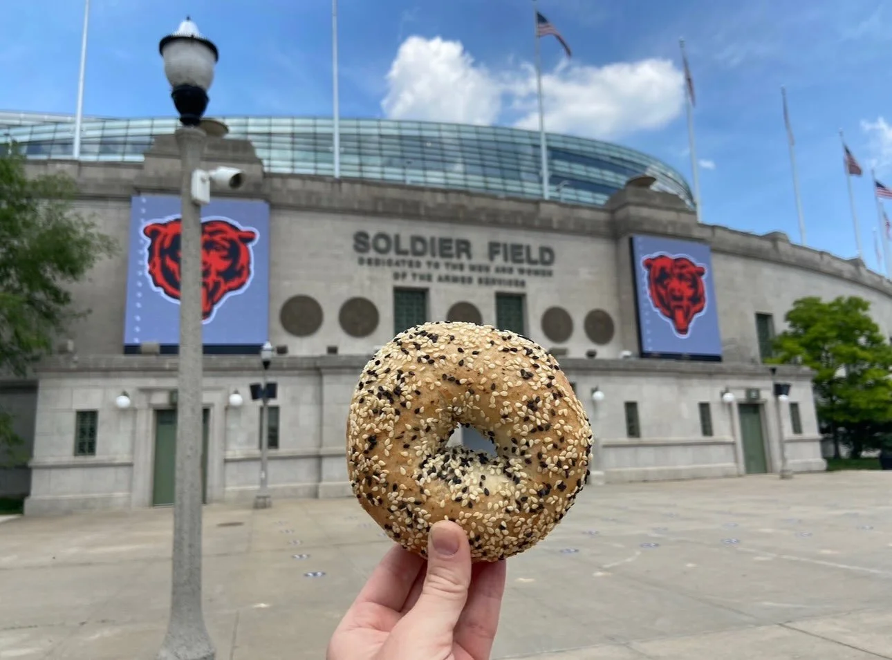 BEAR DOWN! 🐻⬇️ 🥯