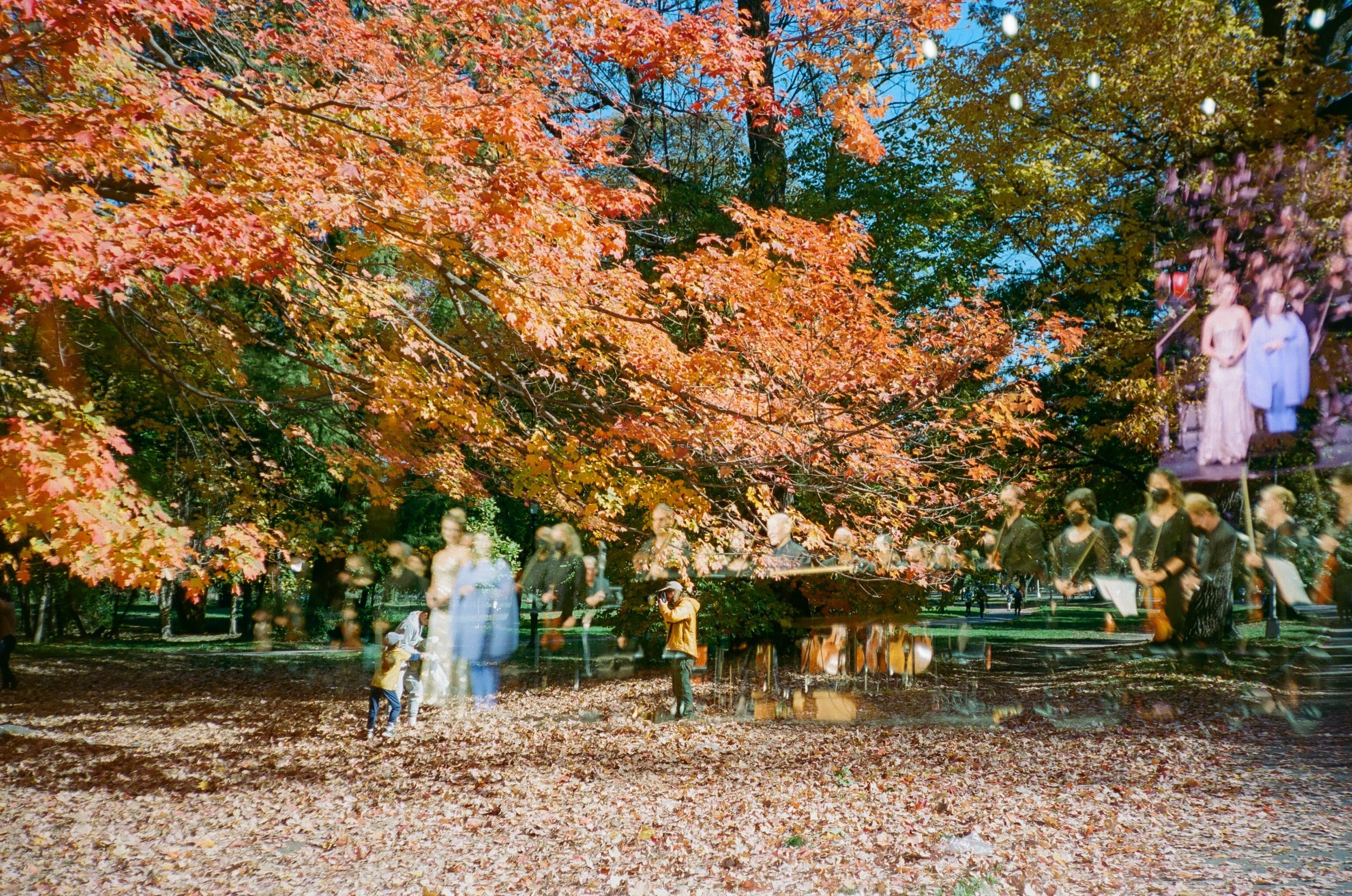 Fall is kicking my ass.