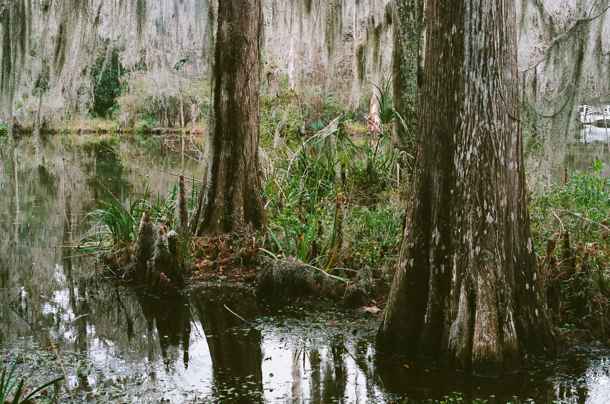 000492010018.jpg