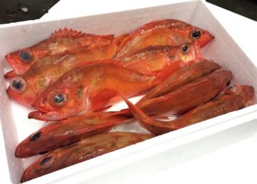 Redfish Shiny – Fresh