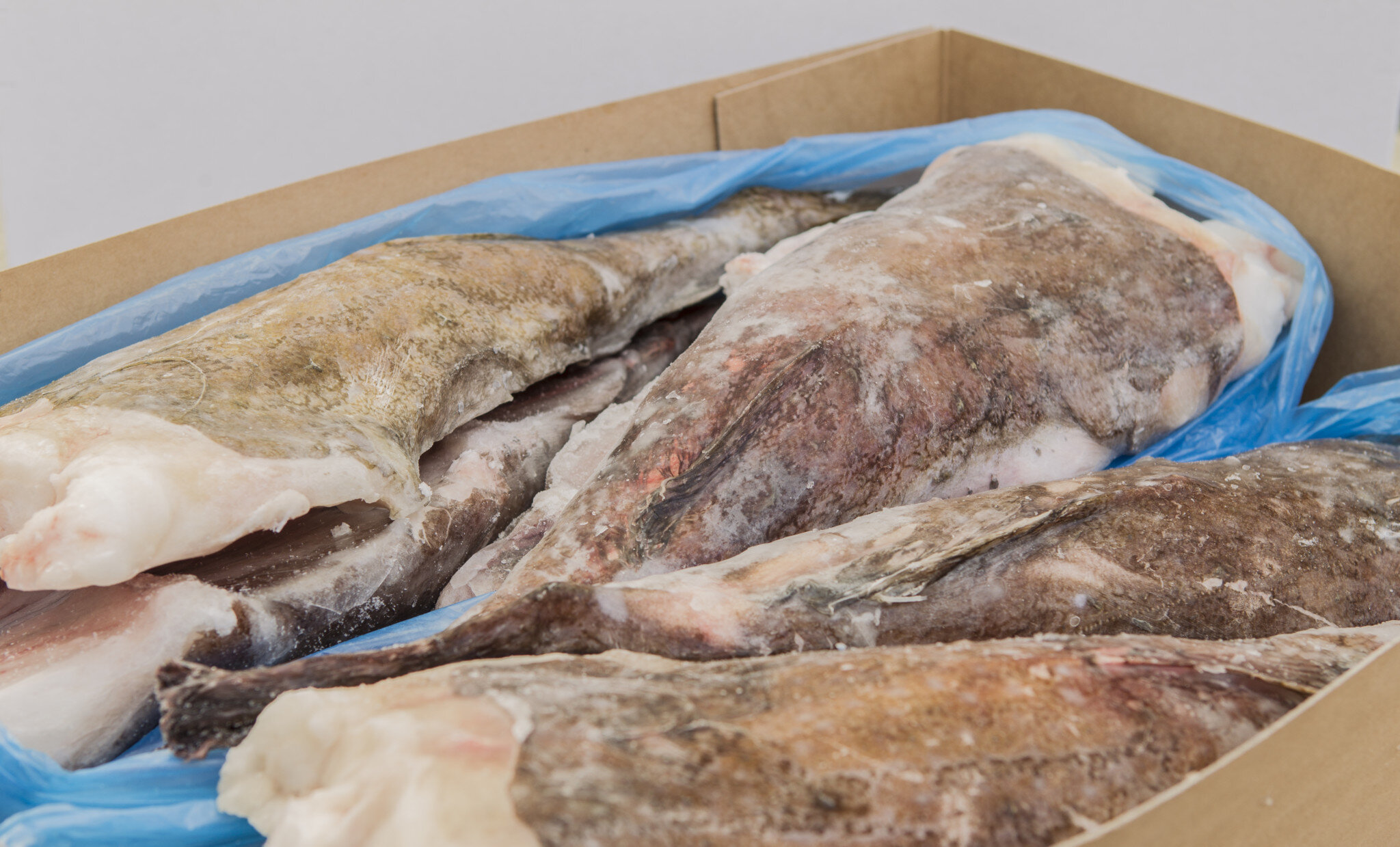 Monkfish – Frozen