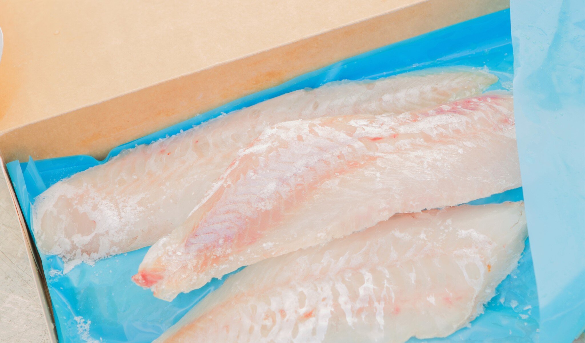 Redfish – Frozen