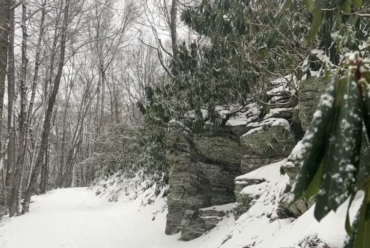 Wintry Mix