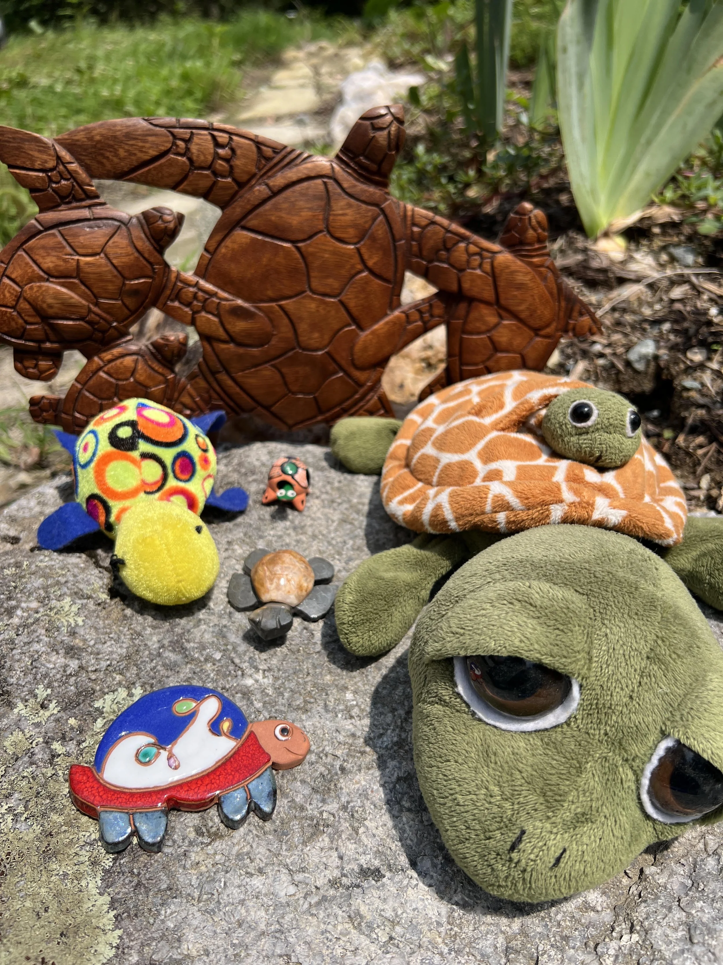 Turtle Steps, Transitions and Show Dates