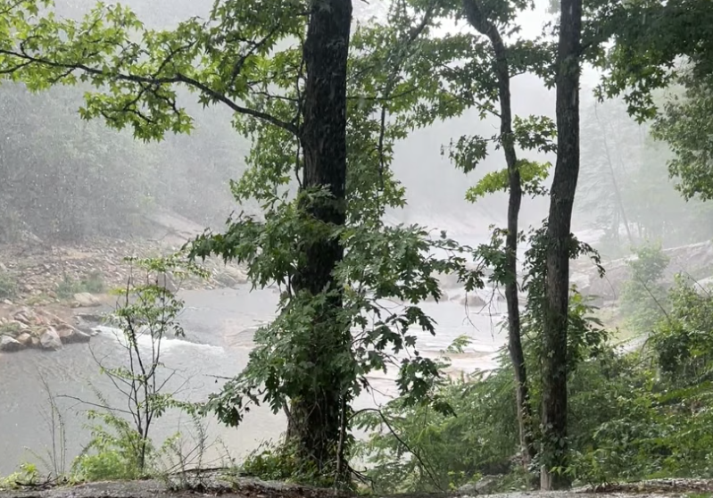 Caugh in a Storm