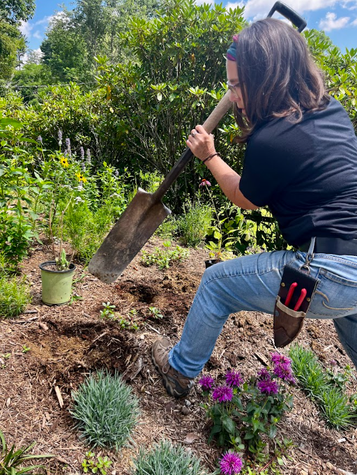 Person planting or digging in a garden with a shovel, surrounded by various plants and flowers.