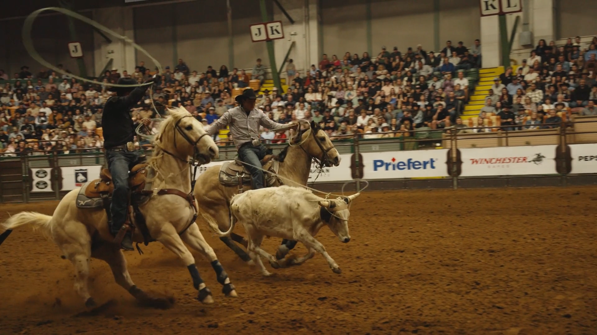 Cowboys vs Oligarchy.png