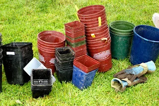 June 7, 2011- Growing Notes