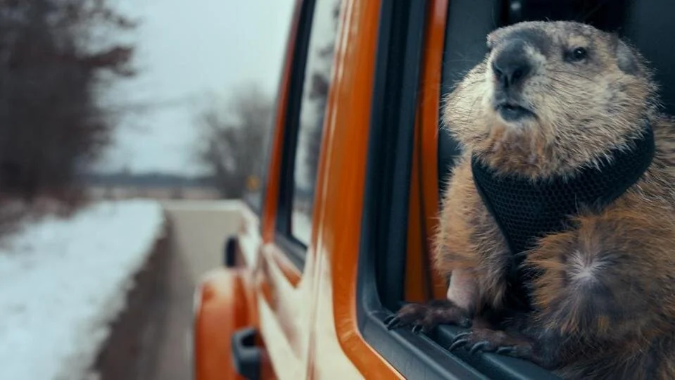 groundhog.jpg