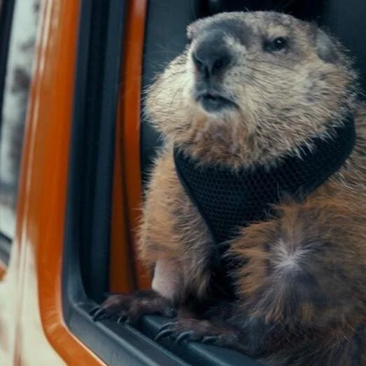 May 15, 2010- Groundhog Day