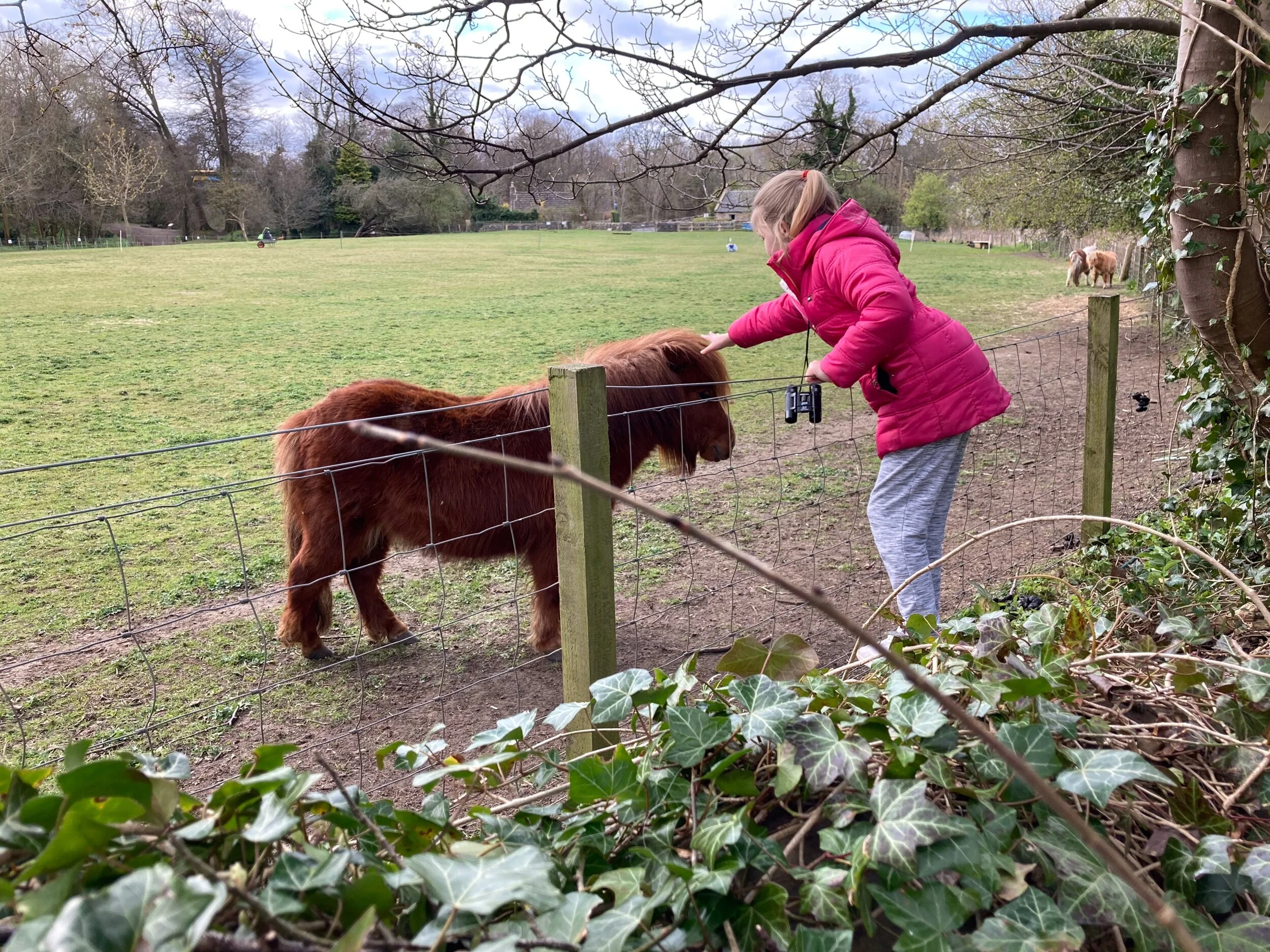 I get locked down, but I get up again