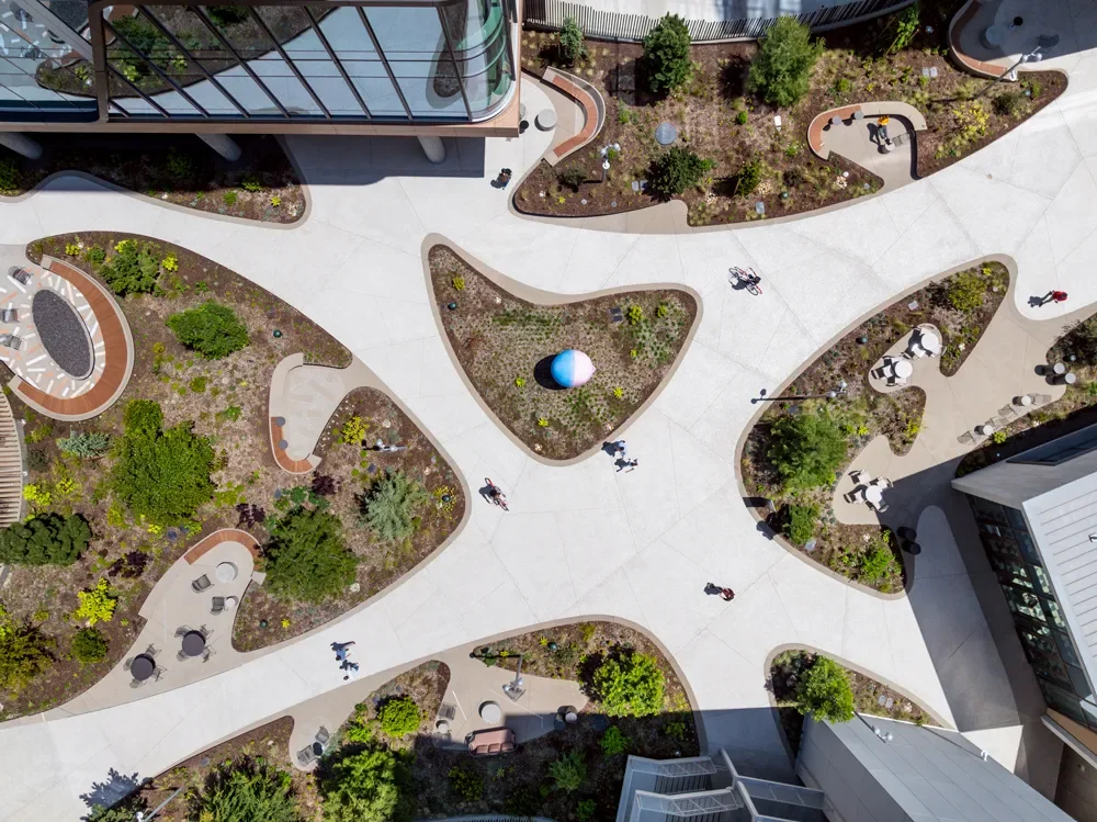 lawrence-anderson-kilroy-oyster-point-landscape-design.webp
