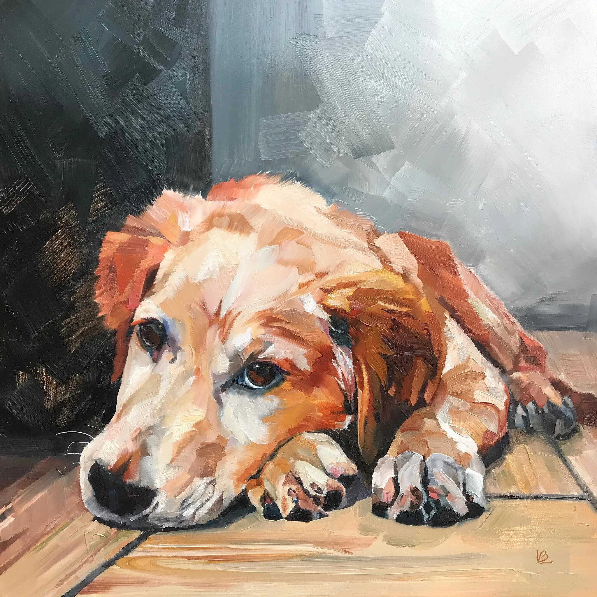 FLASH the Duck Tolling Retriever